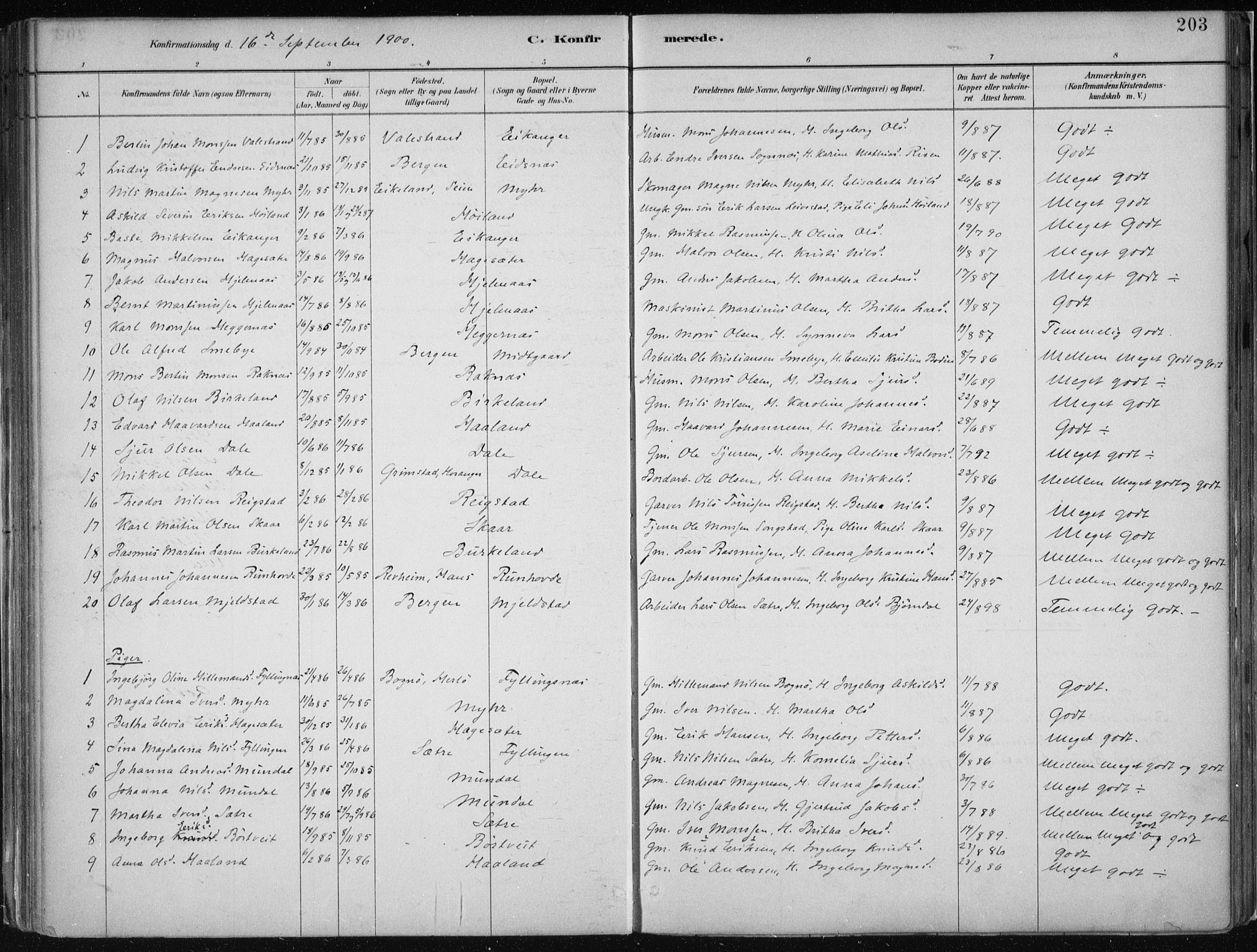 Hamre sokneprestembete, SAB/A-75501/H/Ha/Haa/Haab/L0001: Parish register (official) no. B  1, 1882-1905, p. 203