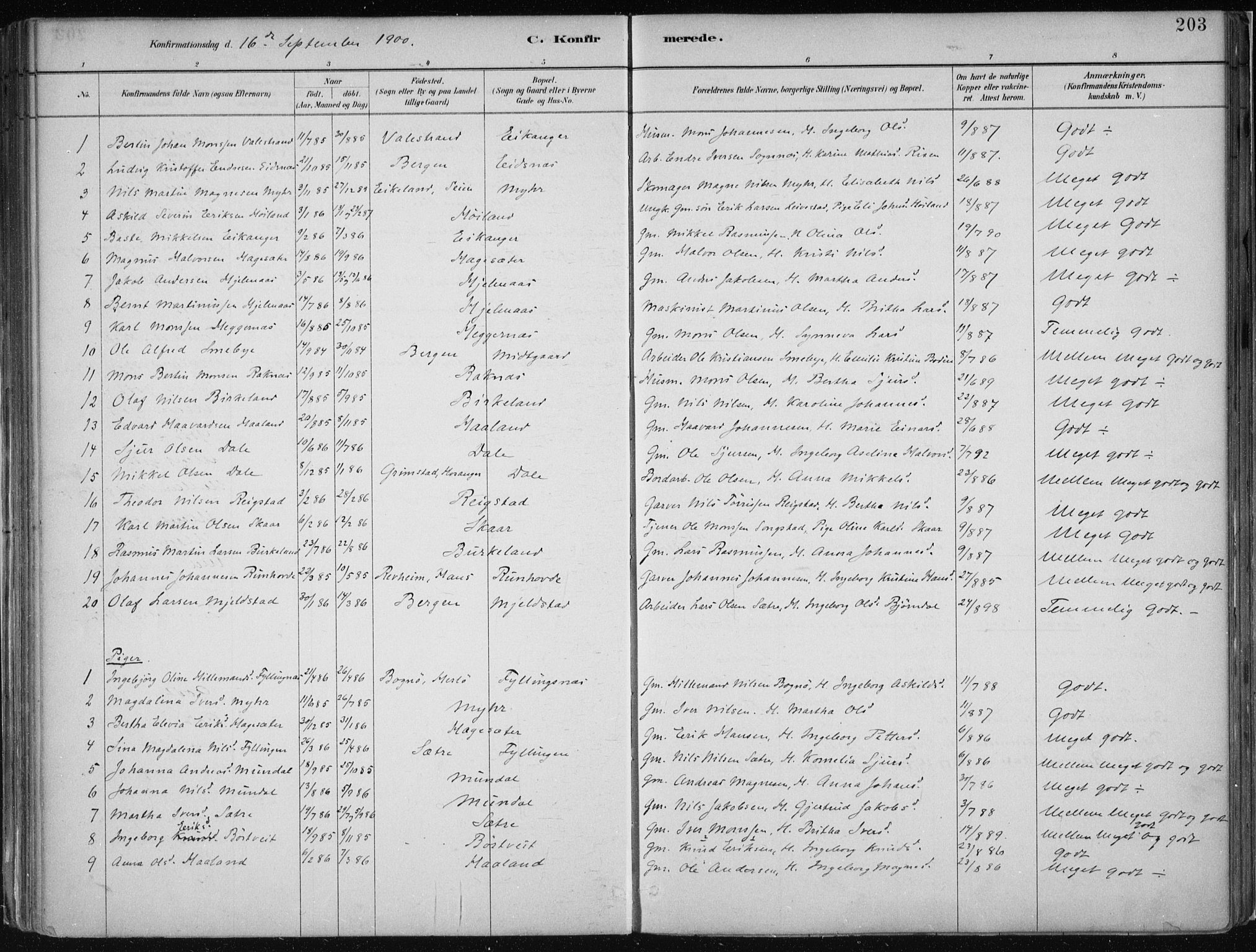 Hamre sokneprestembete, AV/SAB-A-75501/H/Ha/Haa/Haab/L0001: Parish register (official) no. B  1, 1882-1905, p. 203