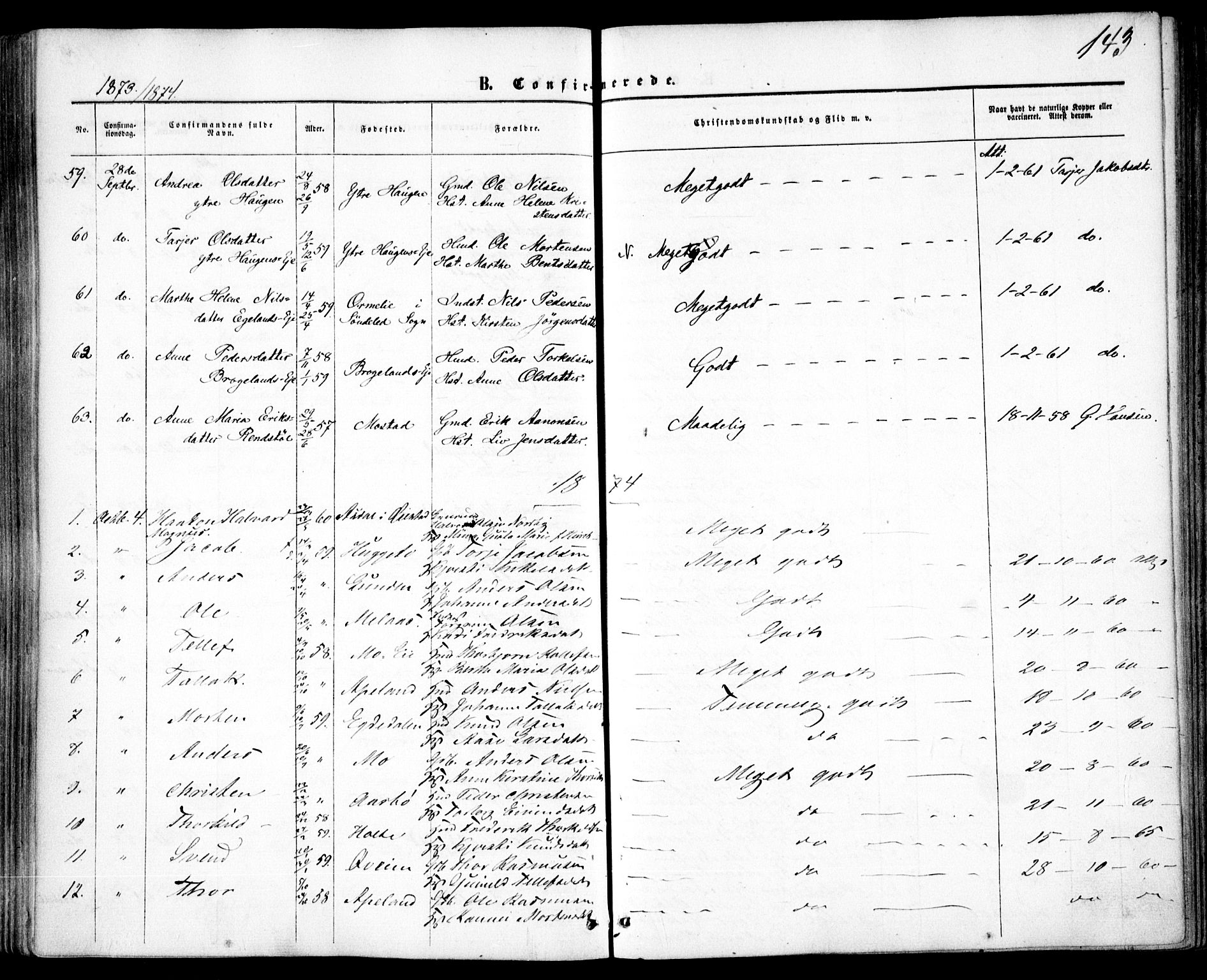 Gjerstad sokneprestkontor, AV/SAK-1111-0014/F/Fa/Faa/L0007: Parish register (official) no. A 7, 1858-1875, p. 143