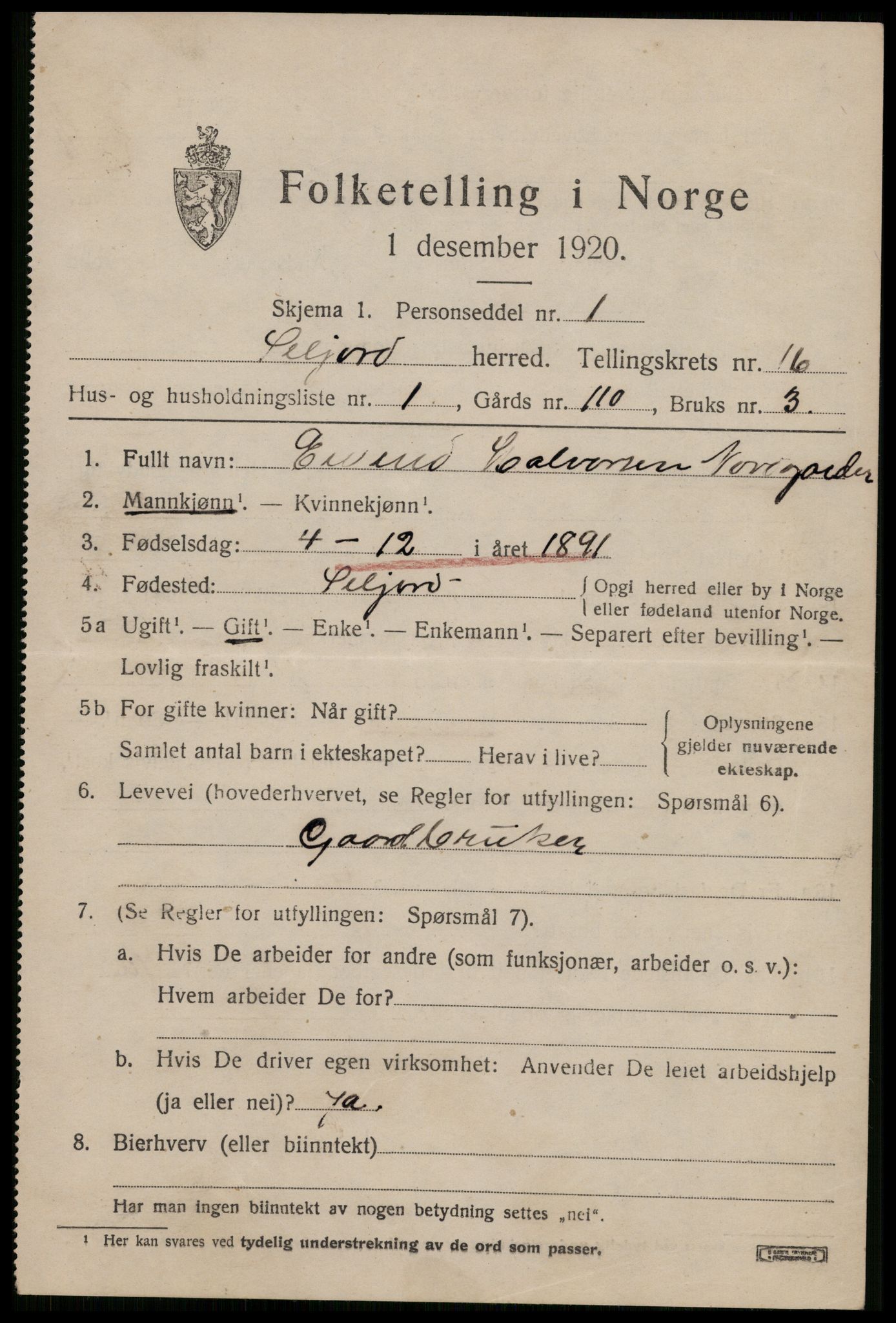 SAKO, 1920 census for Seljord, 1920, p. 6770