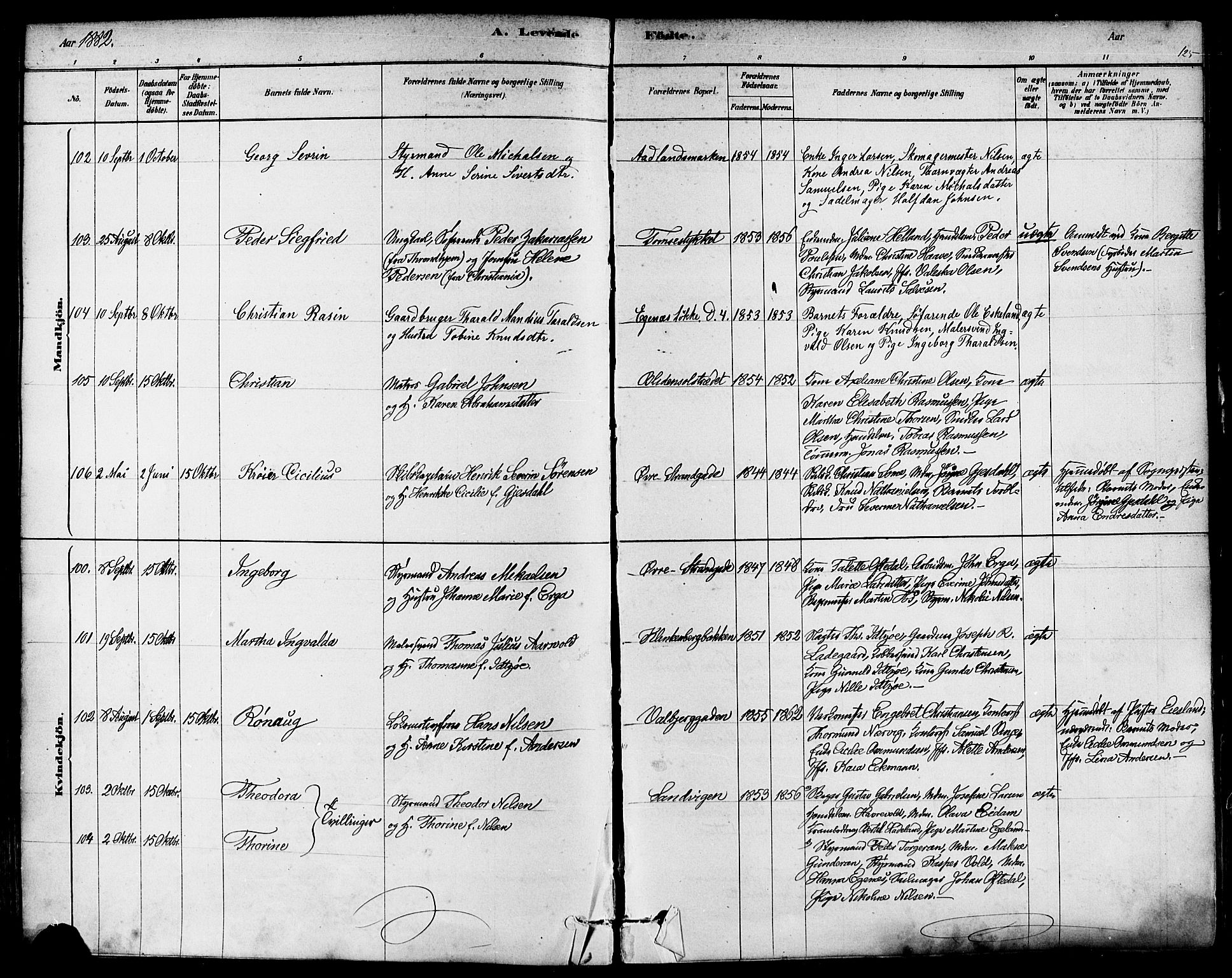 Domkirken sokneprestkontor, SAST/A-101812/001/30/30BA/L0026: Parish register (official) no. A 25, 1878-1889, p. 125