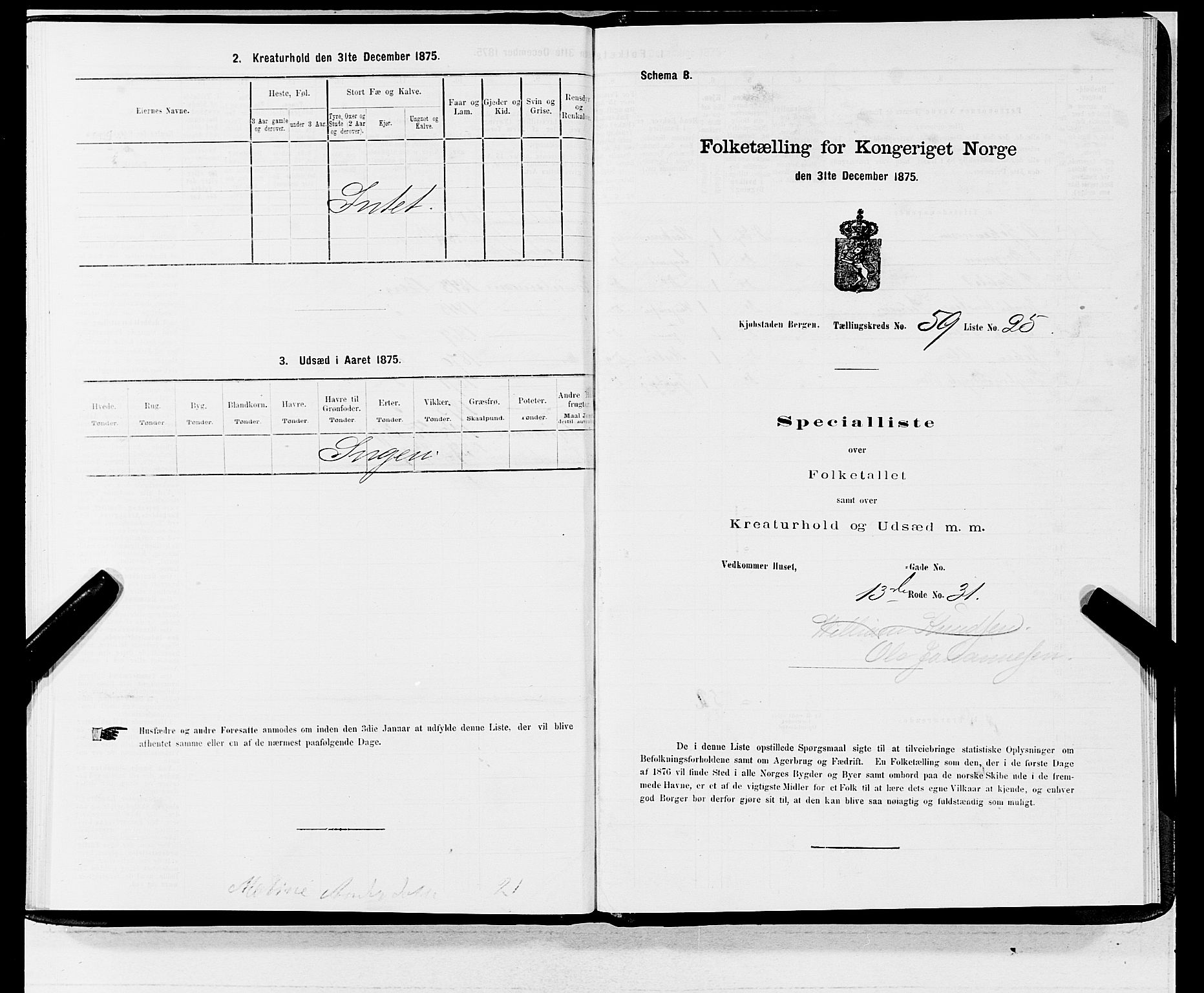 SAB, 1875 census for 1301 Bergen, 1875, p. 3172