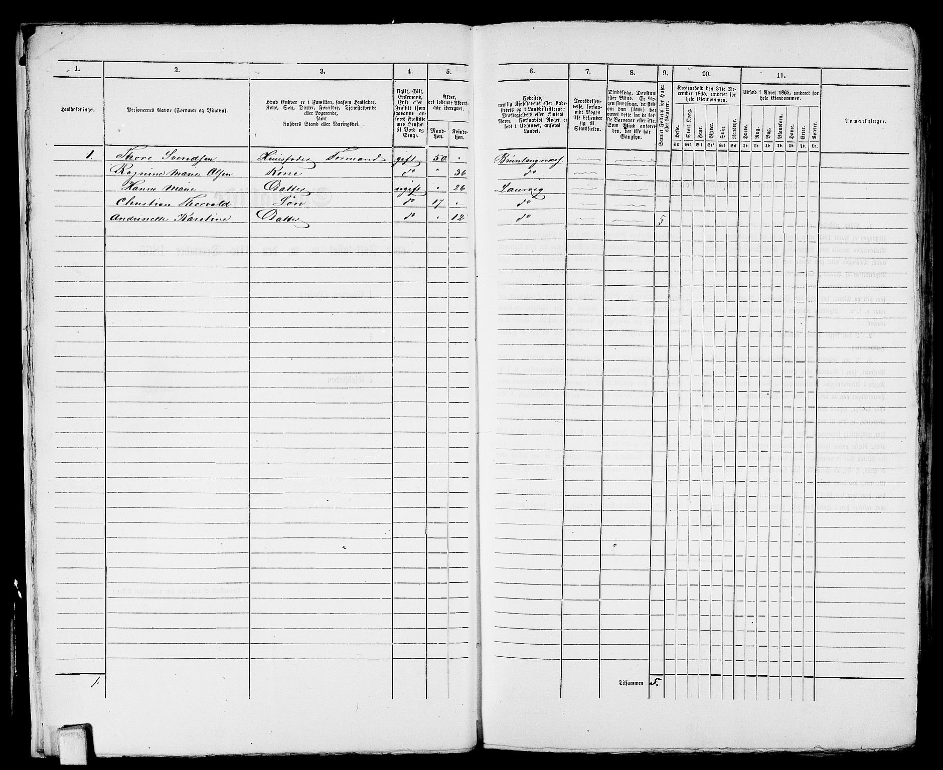 RA, 1865 census for Larvik, 1865, p. 678