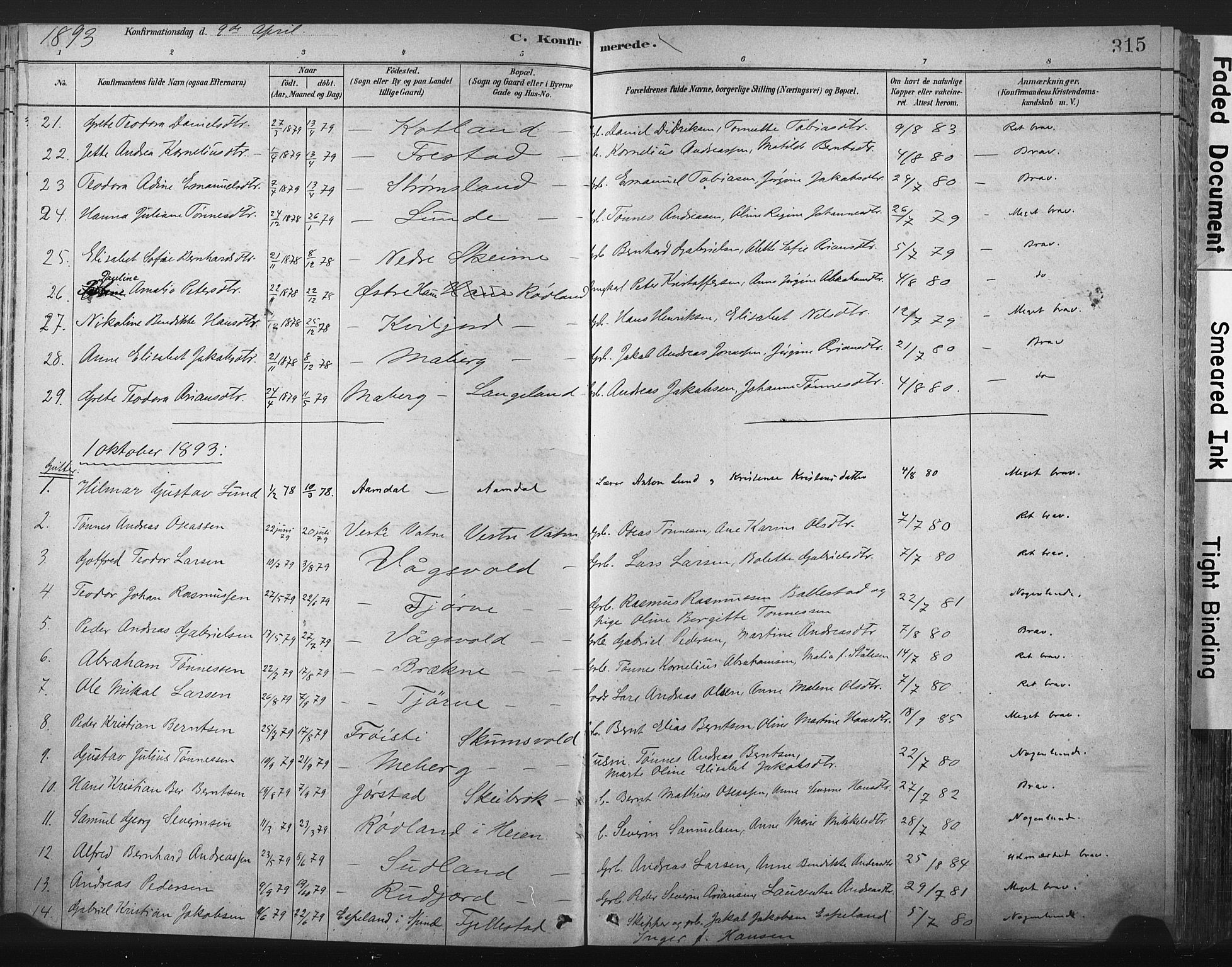 Lista sokneprestkontor, AV/SAK-1111-0027/F/Fa/L0012: Parish register (official) no. A 12, 1879-1903, p. 315