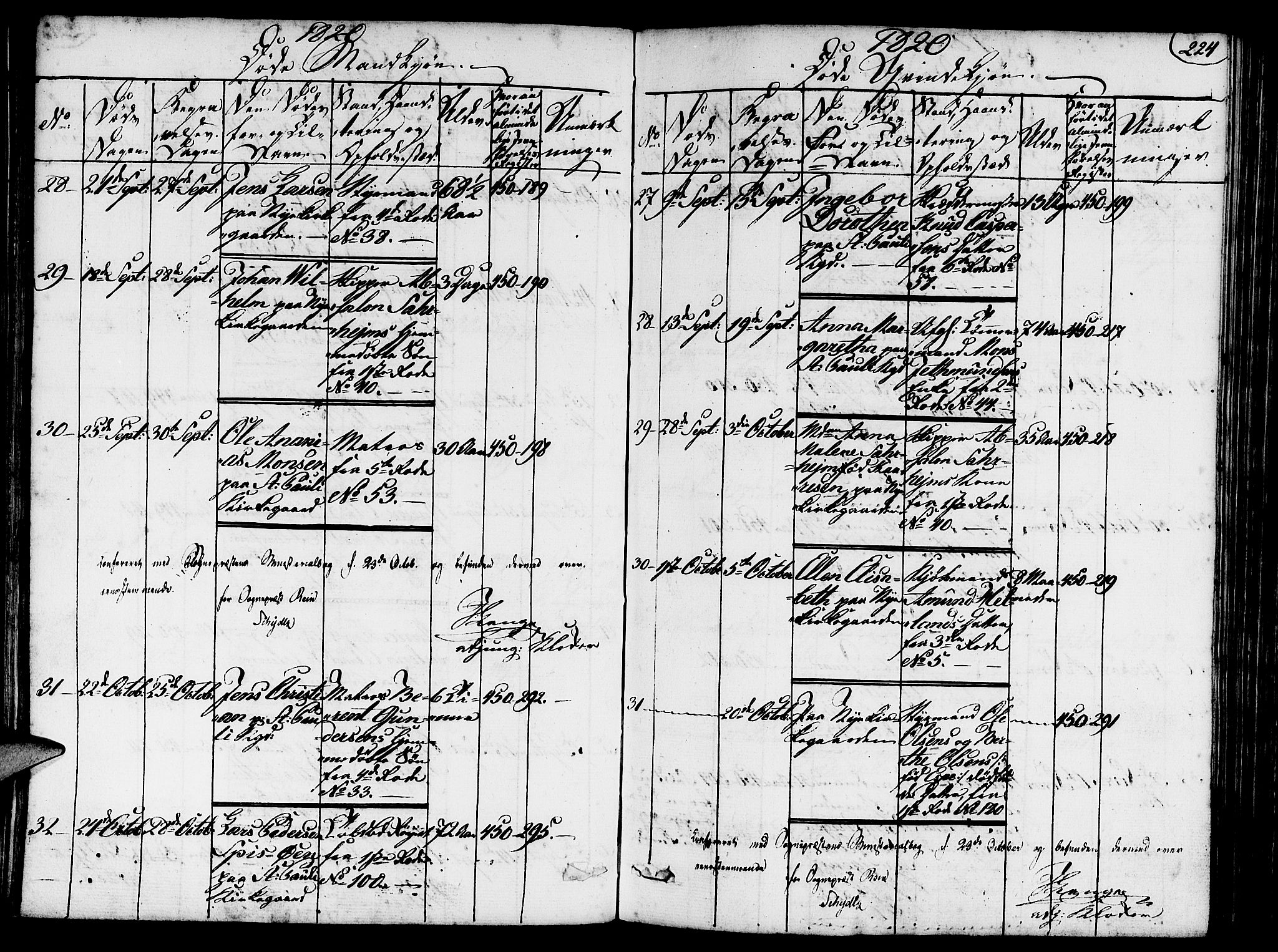 Nykirken Sokneprestembete, AV/SAB-A-77101/H/Hab/L0003: Parish register (copy) no. A 4, 1816-1821, p. 224