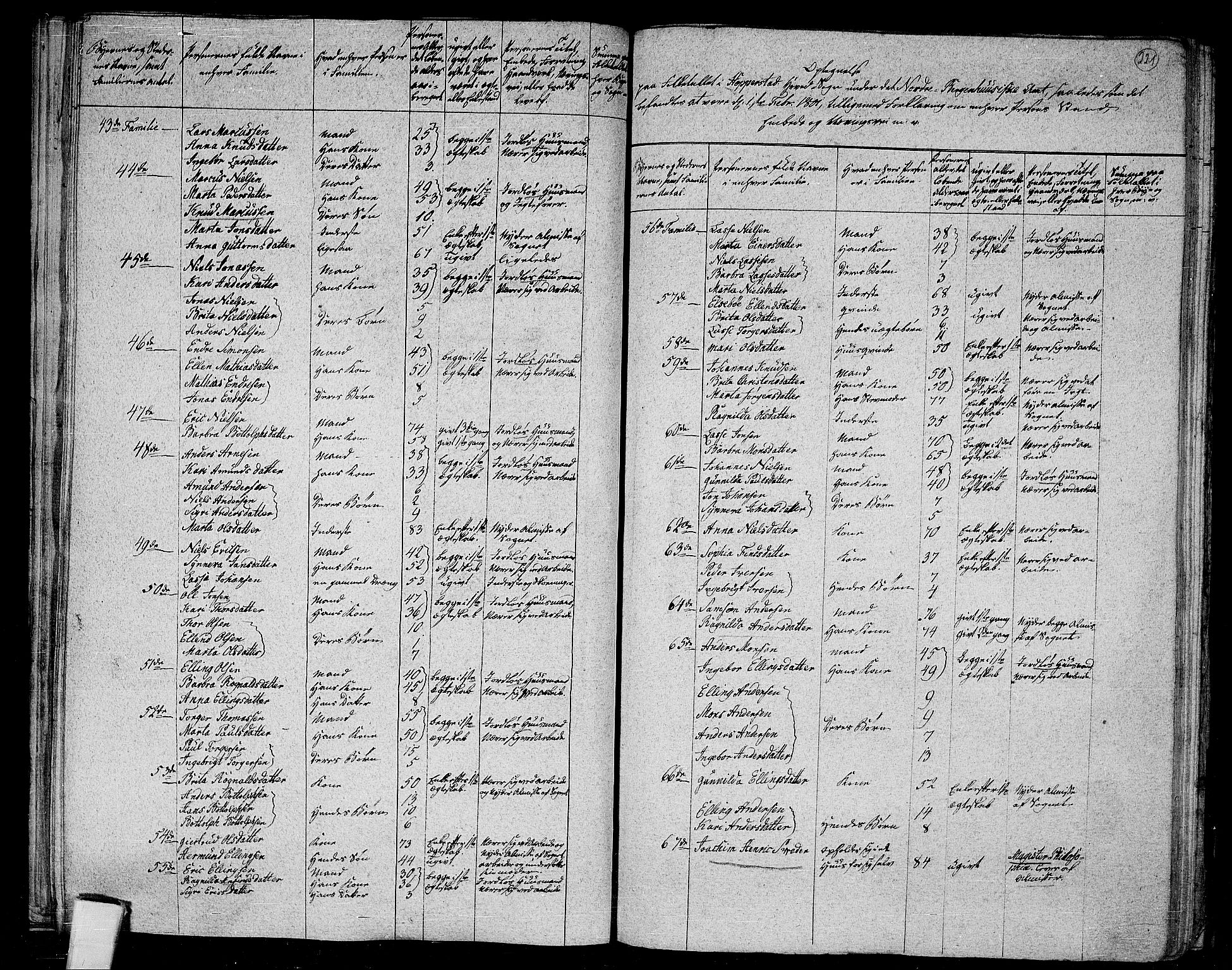 RA, 1801 census for 1417P Vik, 1801, p. 220b-221a