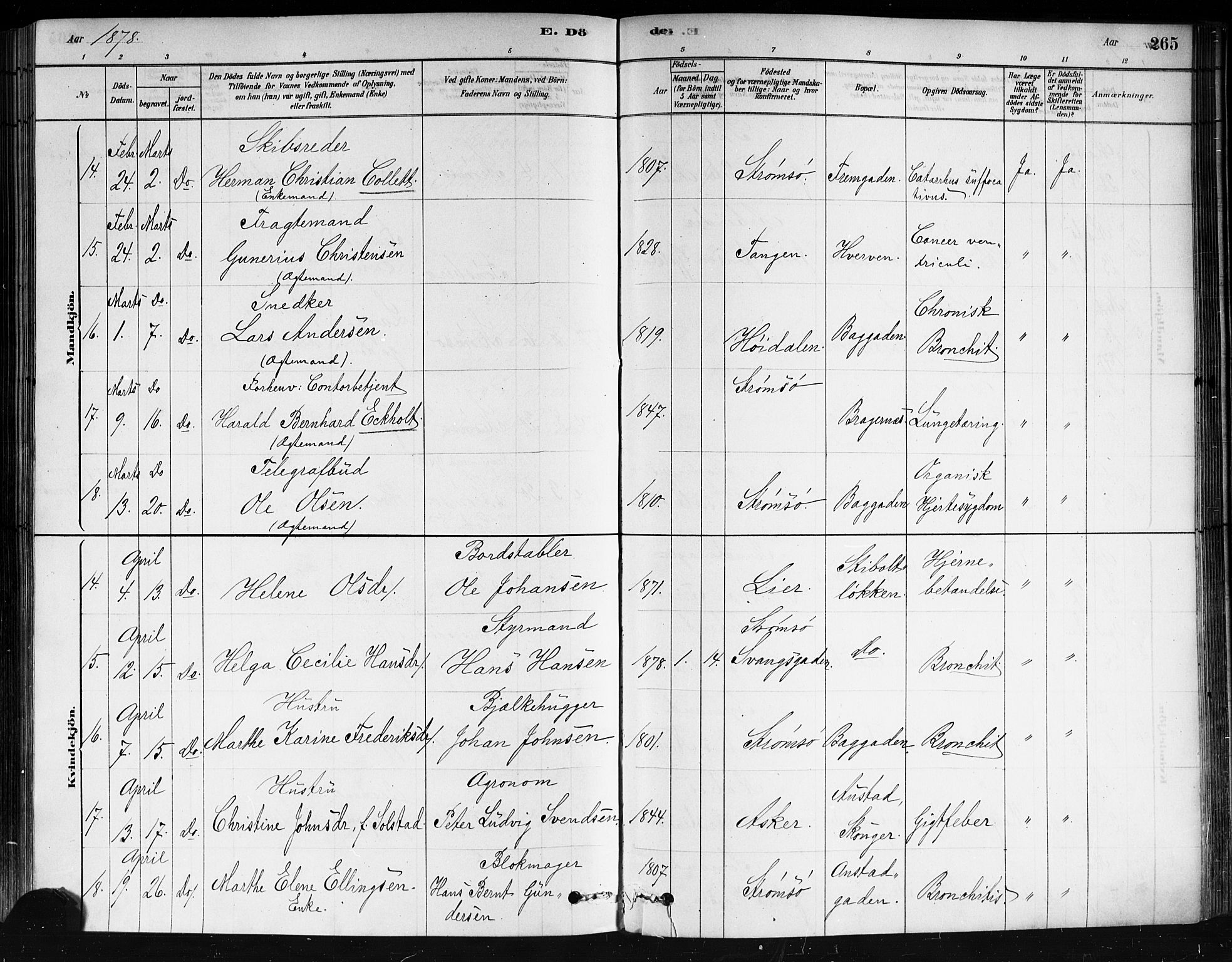 Strømsø kirkebøker, AV/SAKO-A-246/F/Fa/L0021: Parish register (official) no. I 21, 1878-1885, p. 265