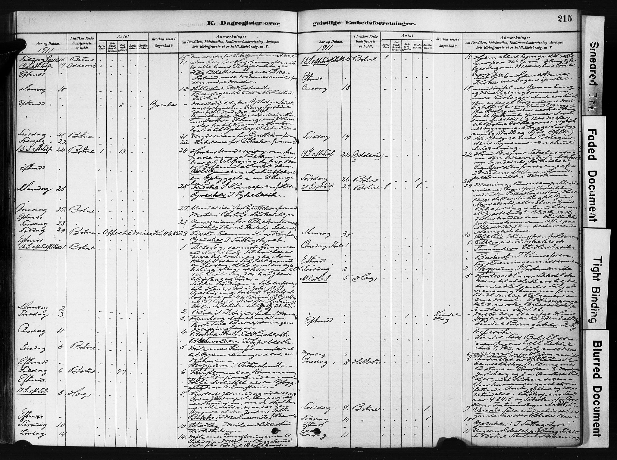 Botne kirkebøker, AV/SAKO-A-340/F/Fb/L0001: Parish register (official) no. II 1, 1878-1902, p. 215