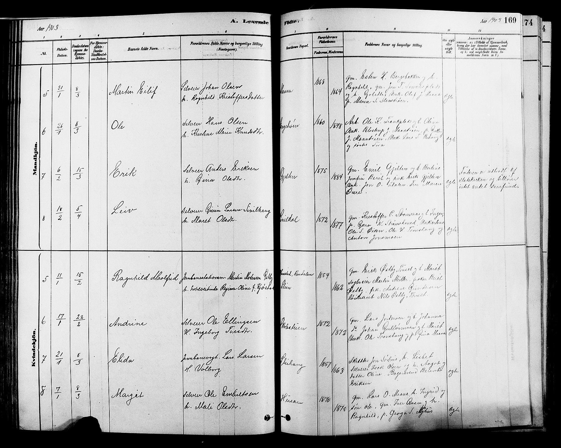Alvdal prestekontor, SAH/PREST-060/H/Ha/Hab/L0003: Parish register (copy) no. 3, 1878-1907, p. 169