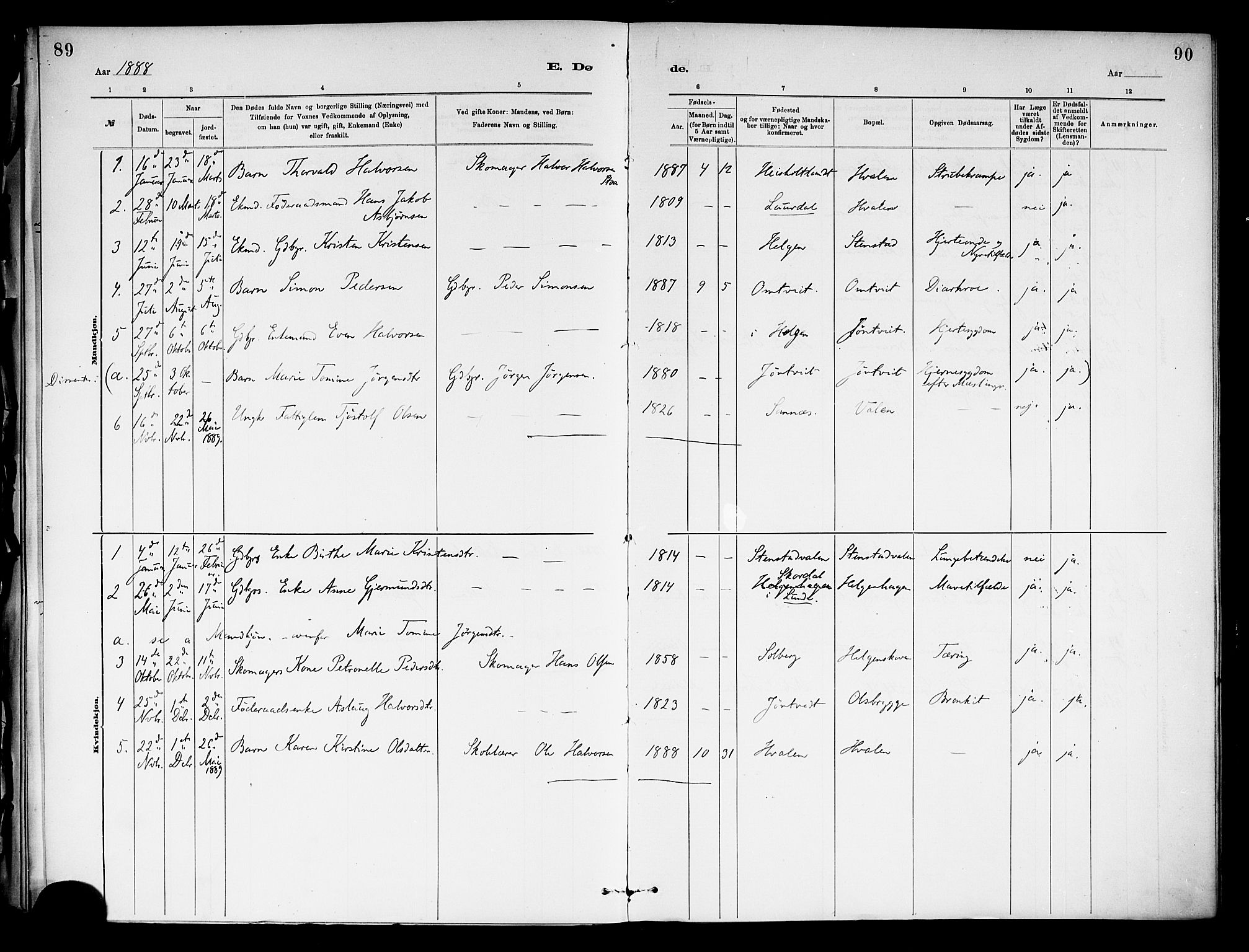 Holla kirkebøker, SAKO/A-272/F/Fa/L0009: Parish register (official) no. 9, 1881-1897, p. 89
