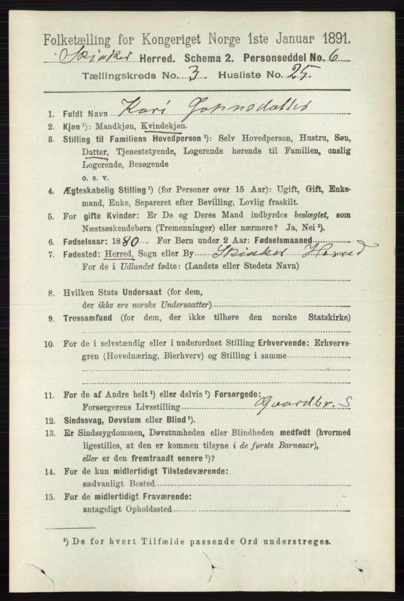 RA, 1891 census for 0513 Skjåk, 1891, p. 1090