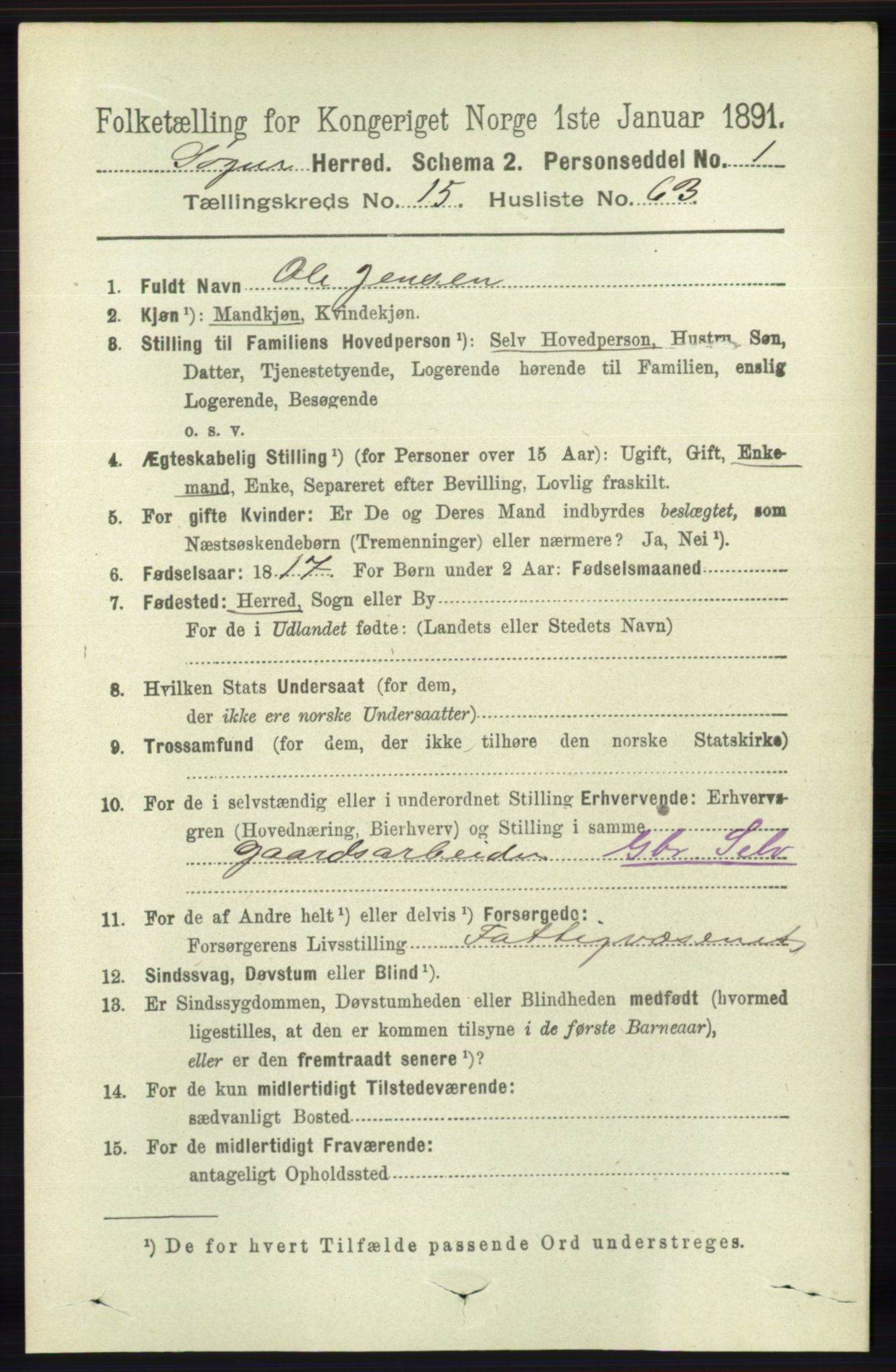 RA, 1891 census for 1018 Søgne, 1891, p. 4205