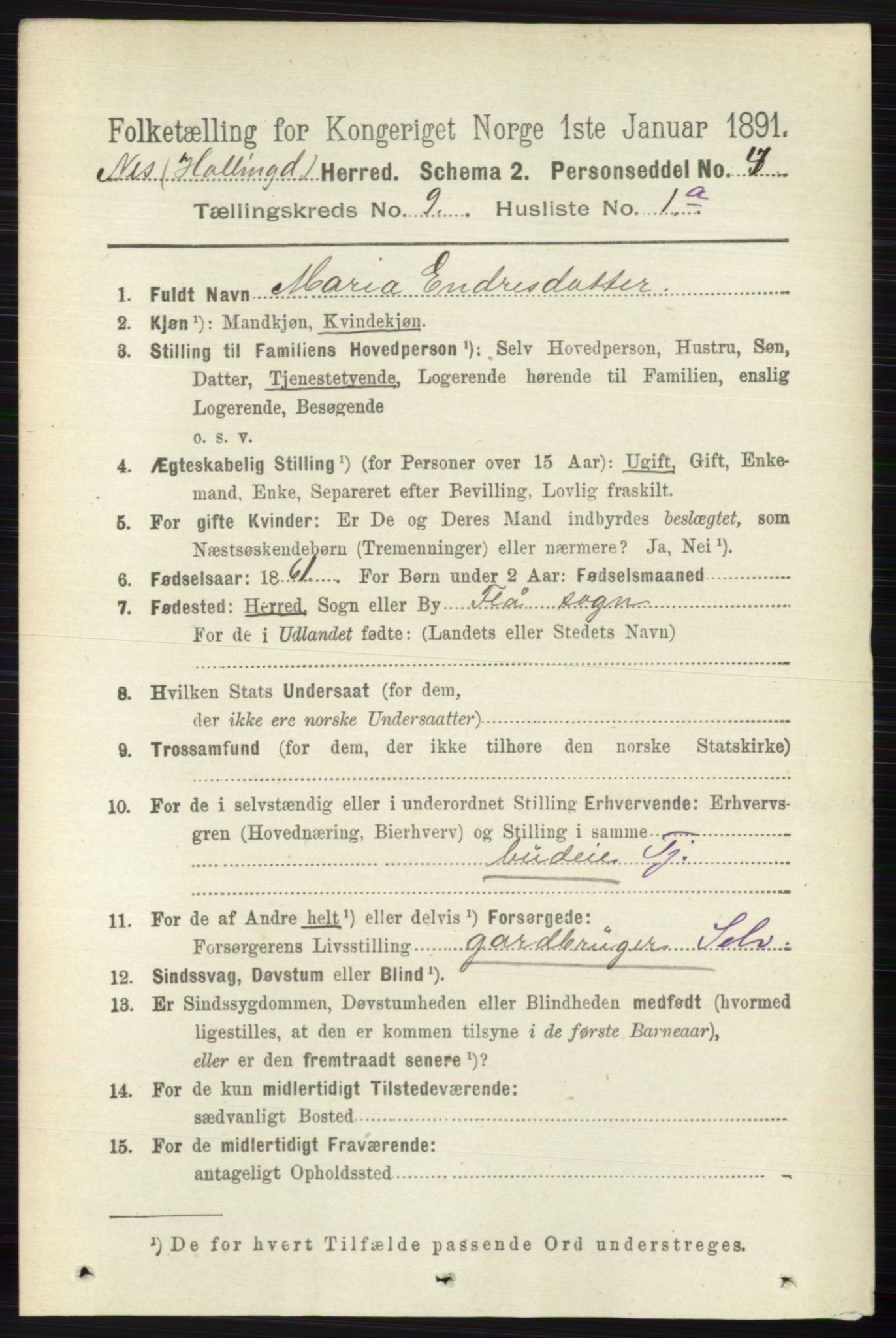 RA, 1891 census for 0616 Nes, 1891, p. 4340