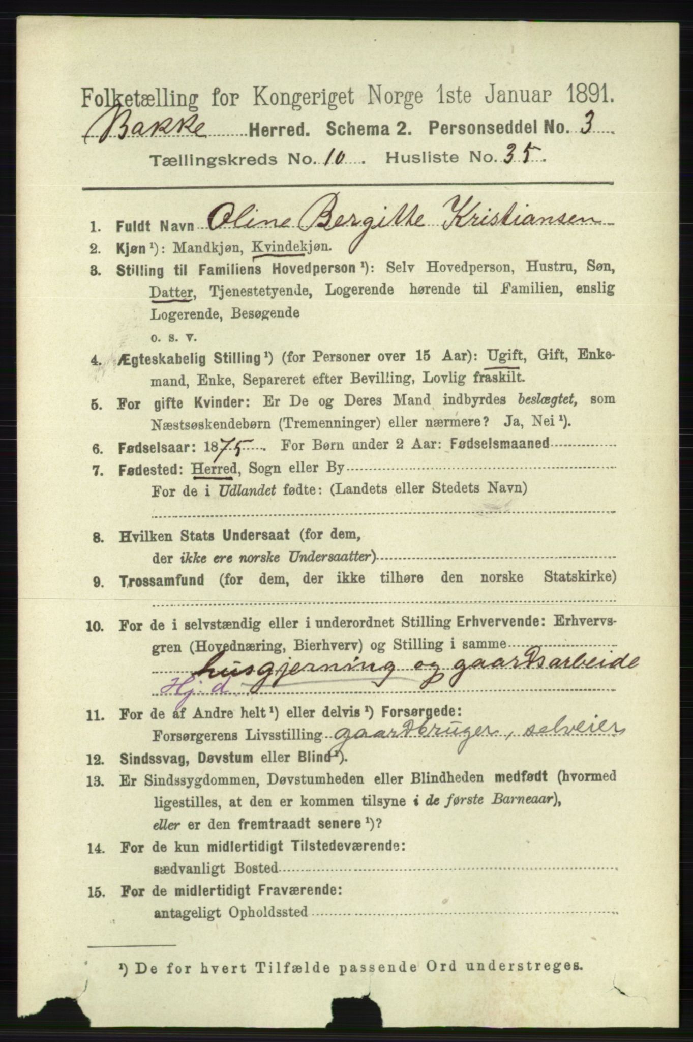 RA, 1891 census for 1045 Bakke, 1891, p. 2196