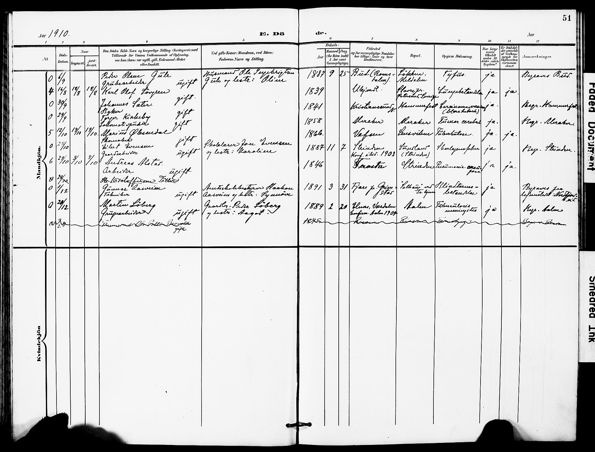 Ministerialprotokoller, klokkerbøker og fødselsregistre - Sør-Trøndelag, AV/SAT-A-1456/628/L0483: Parish register (official) no. 628A01, 1902-1920, p. 51