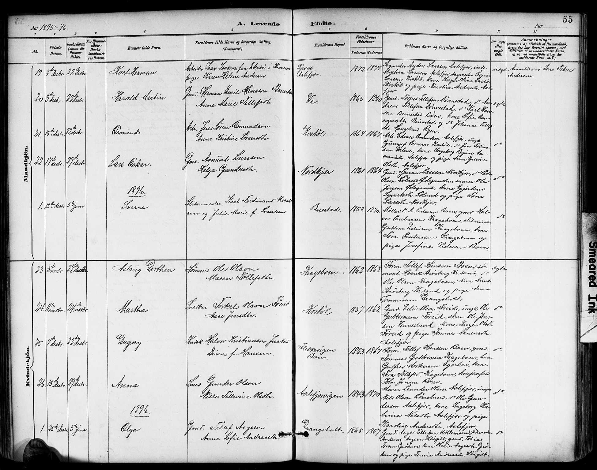 Tveit sokneprestkontor, AV/SAK-1111-0043/F/Fb/L0004: Parish register (copy) no. B 4, 1887-1914, p. 55