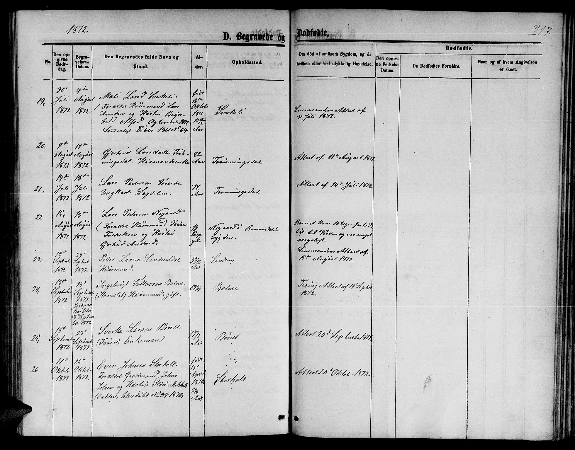 Ministerialprotokoller, klokkerbøker og fødselsregistre - Møre og Romsdal, AV/SAT-A-1454/598/L1076: Parish register (copy) no. 598C01, 1867-1878, p. 217