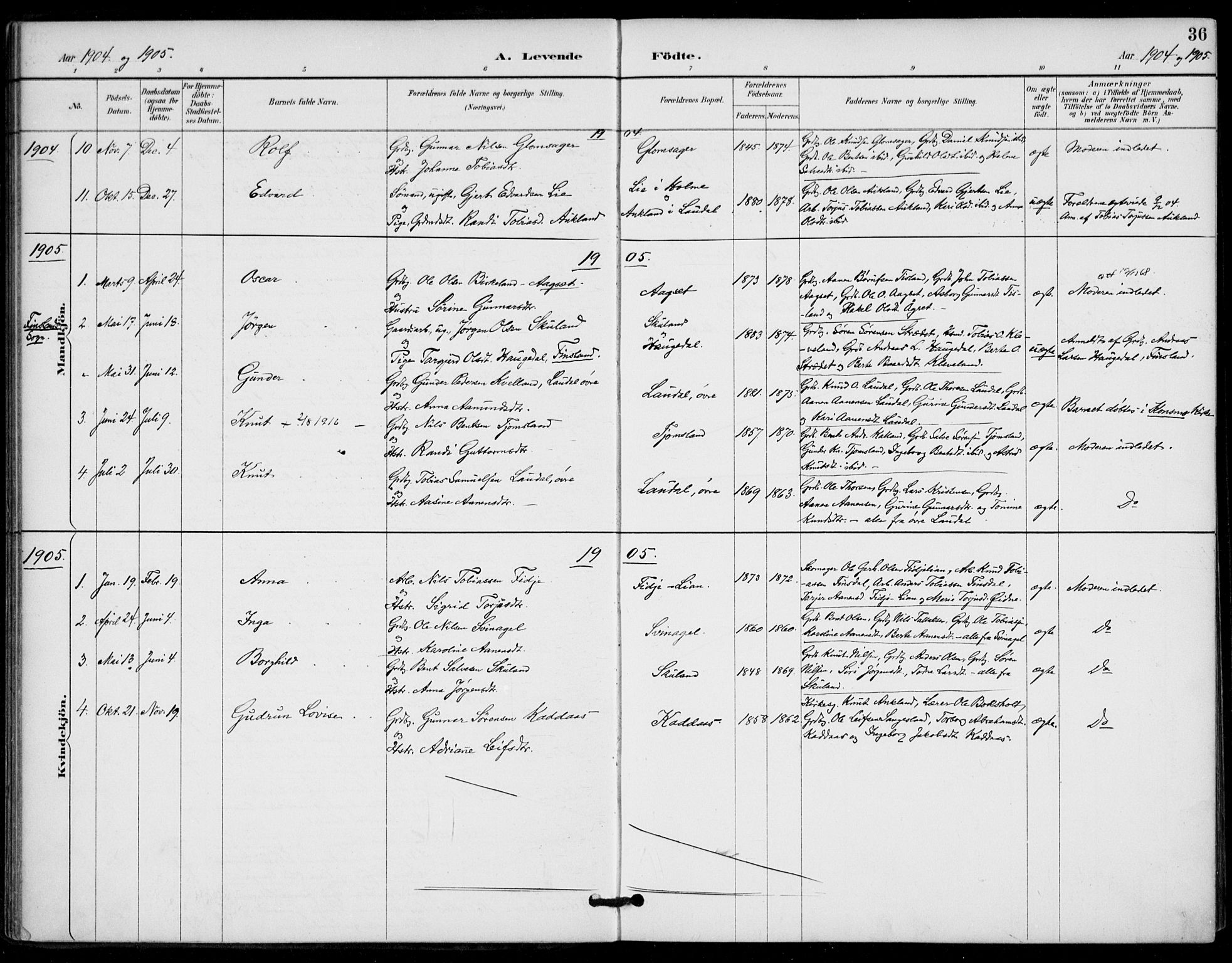 Holum sokneprestkontor, AV/SAK-1111-0022/F/Fa/Fab/L0007: Parish register (official) no. A 7, 1887-1912, p. 36