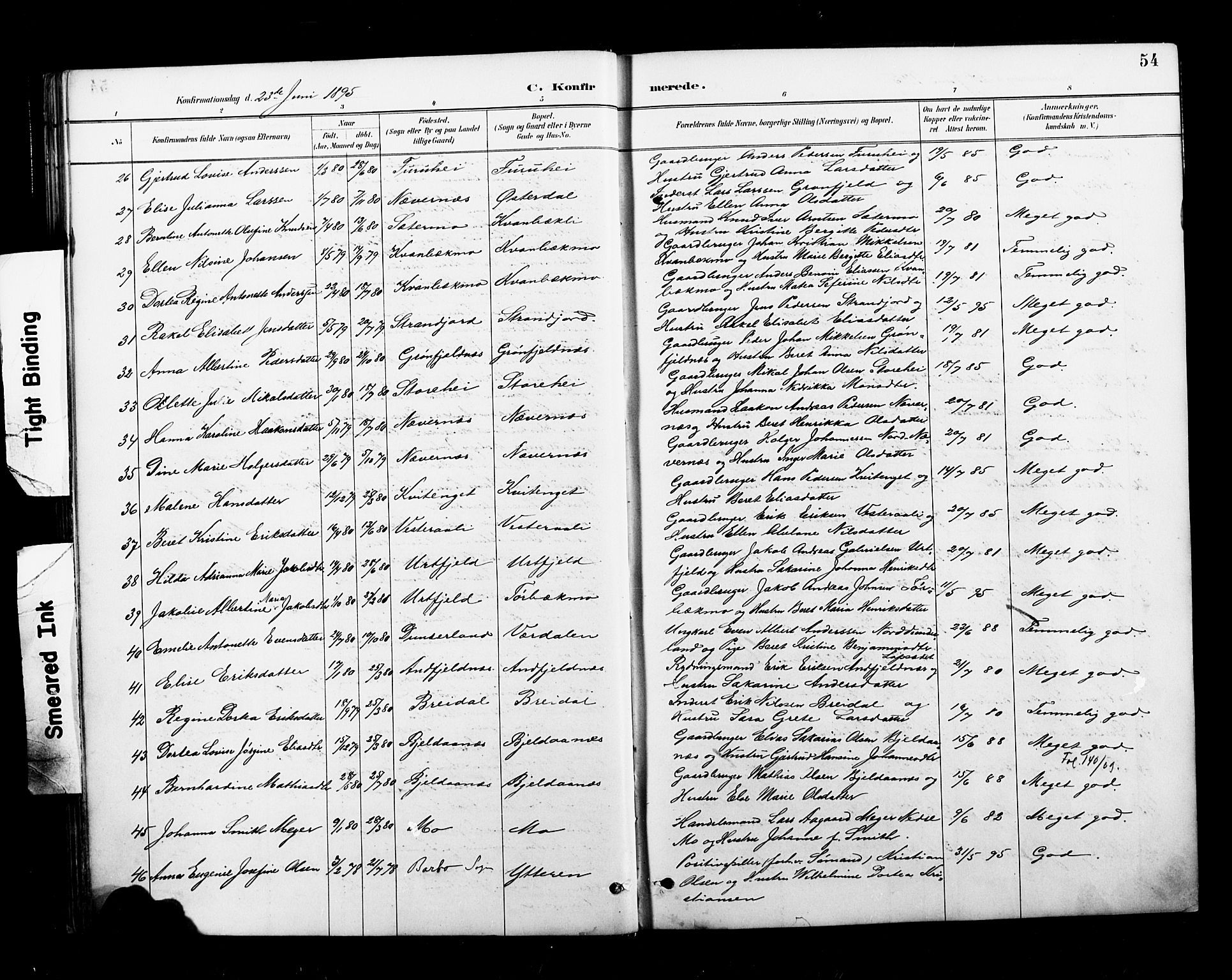 Ministerialprotokoller, klokkerbøker og fødselsregistre - Nordland, AV/SAT-A-1459/827/L0401: Parish register (official) no. 827A13, 1887-1905, p. 54