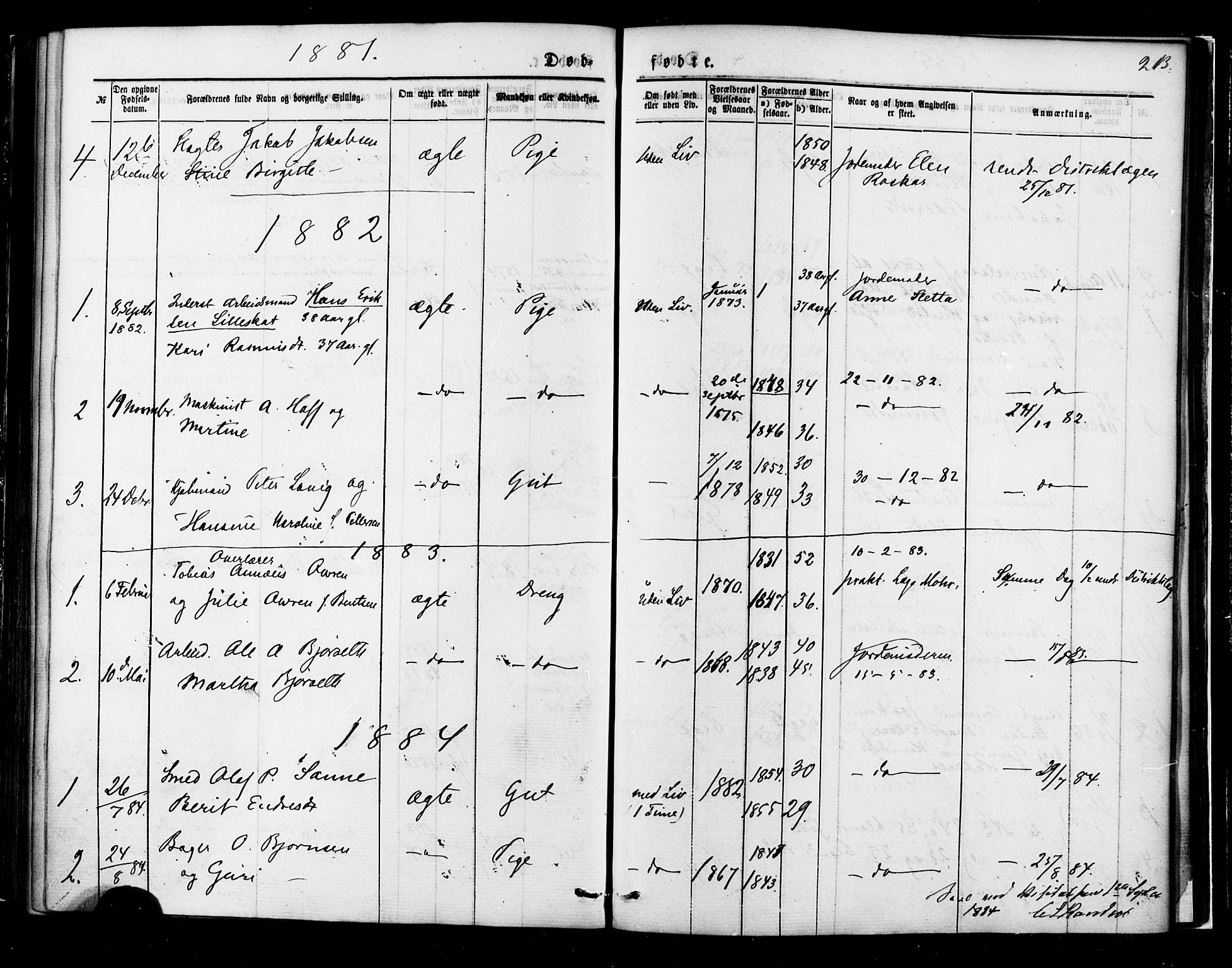 Ministerialprotokoller, klokkerbøker og fødselsregistre - Møre og Romsdal, AV/SAT-A-1454/558/L0691: Parish register (official) no. 558A05, 1873-1886, p. 213