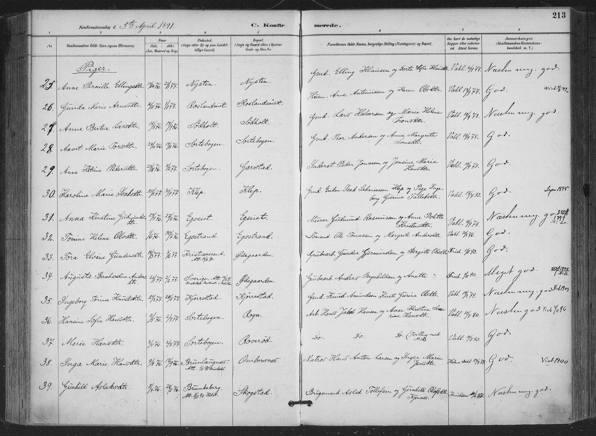 Bamble kirkebøker, AV/SAKO-A-253/F/Fa/L0008: Parish register (official) no. I 8, 1888-1900, p. 213