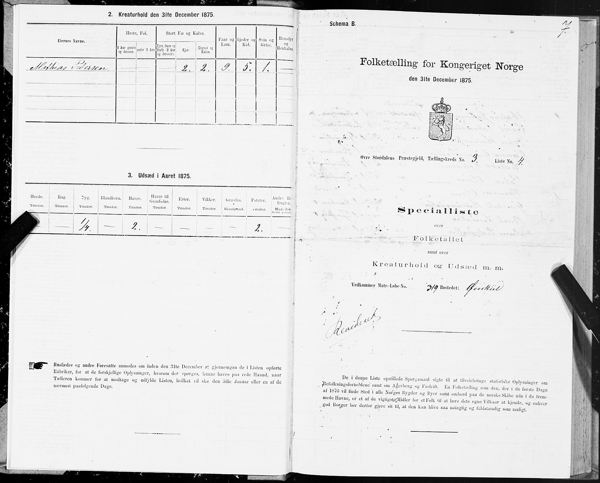 SAT, 1875 census for 1711P Øvre Stjørdal, 1875, p. 2007