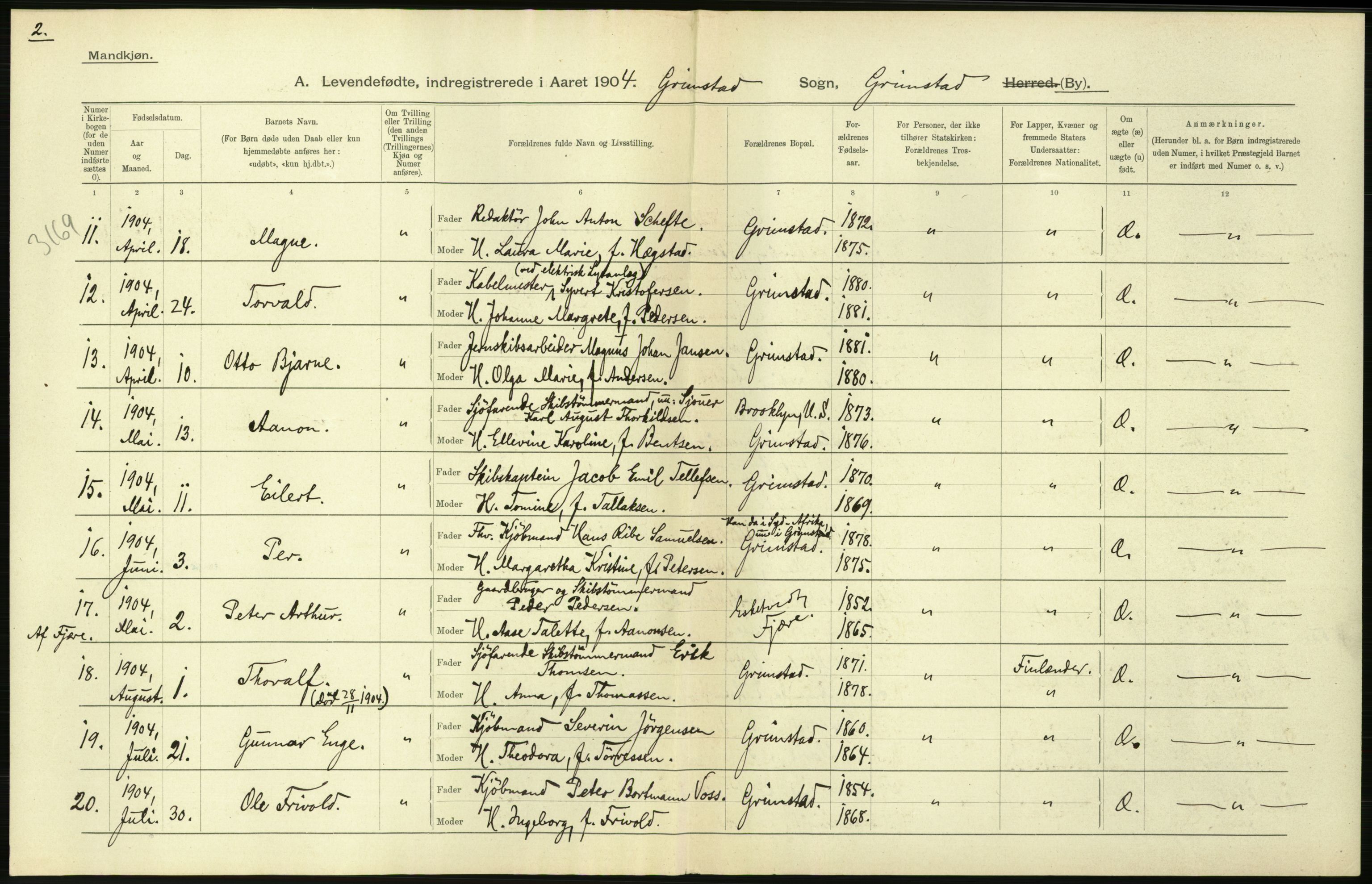 Statistisk sentralbyrå, Sosiodemografiske emner, Befolkning, AV/RA-S-2228/D/Df/Dfa/Dfab/L0010: Nedenes amt: Fødte, gifte, døde, 1904, p. 254