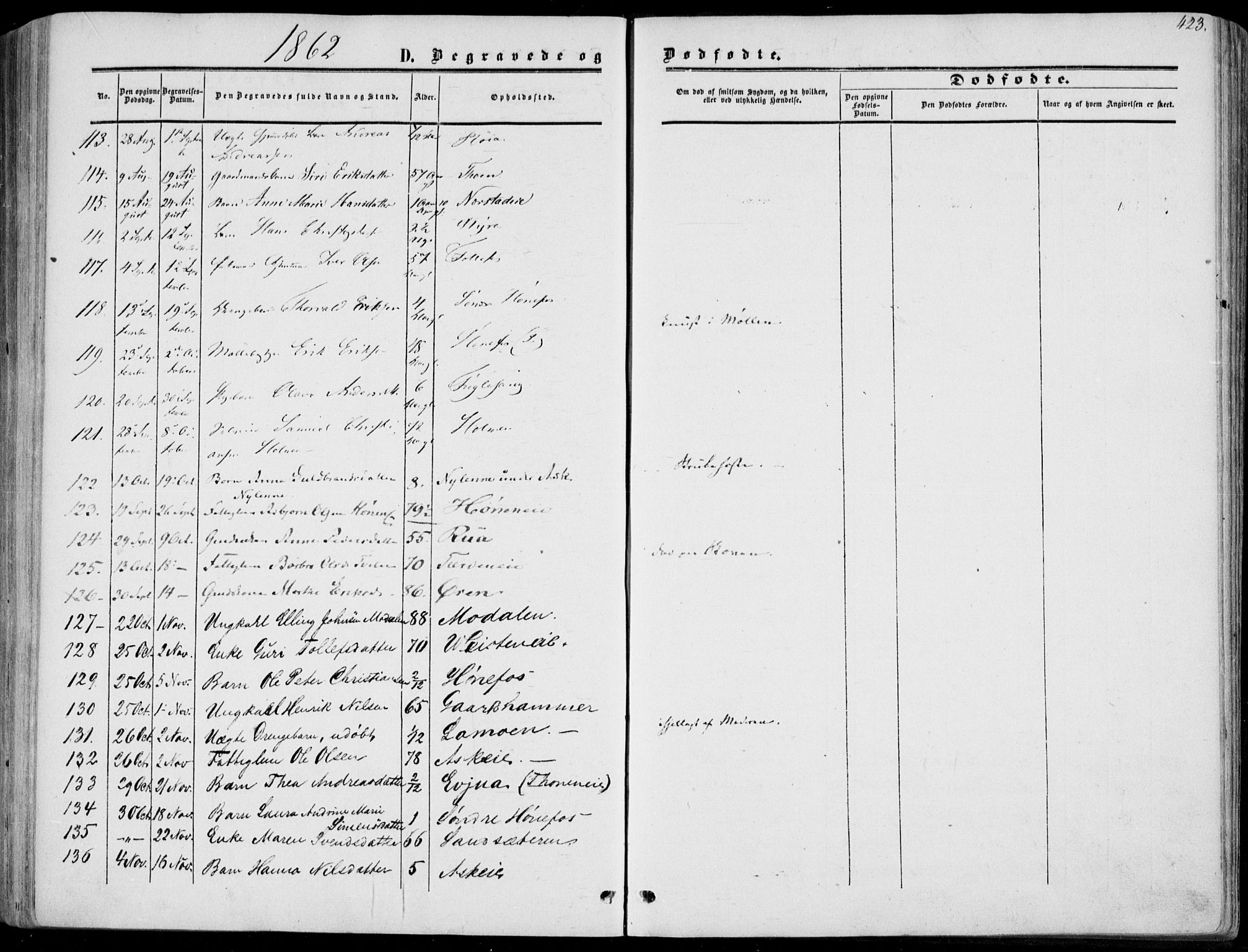 Norderhov kirkebøker, AV/SAKO-A-237/F/Fa/L0012: Parish register (official) no. 12, 1856-1865, p. 423