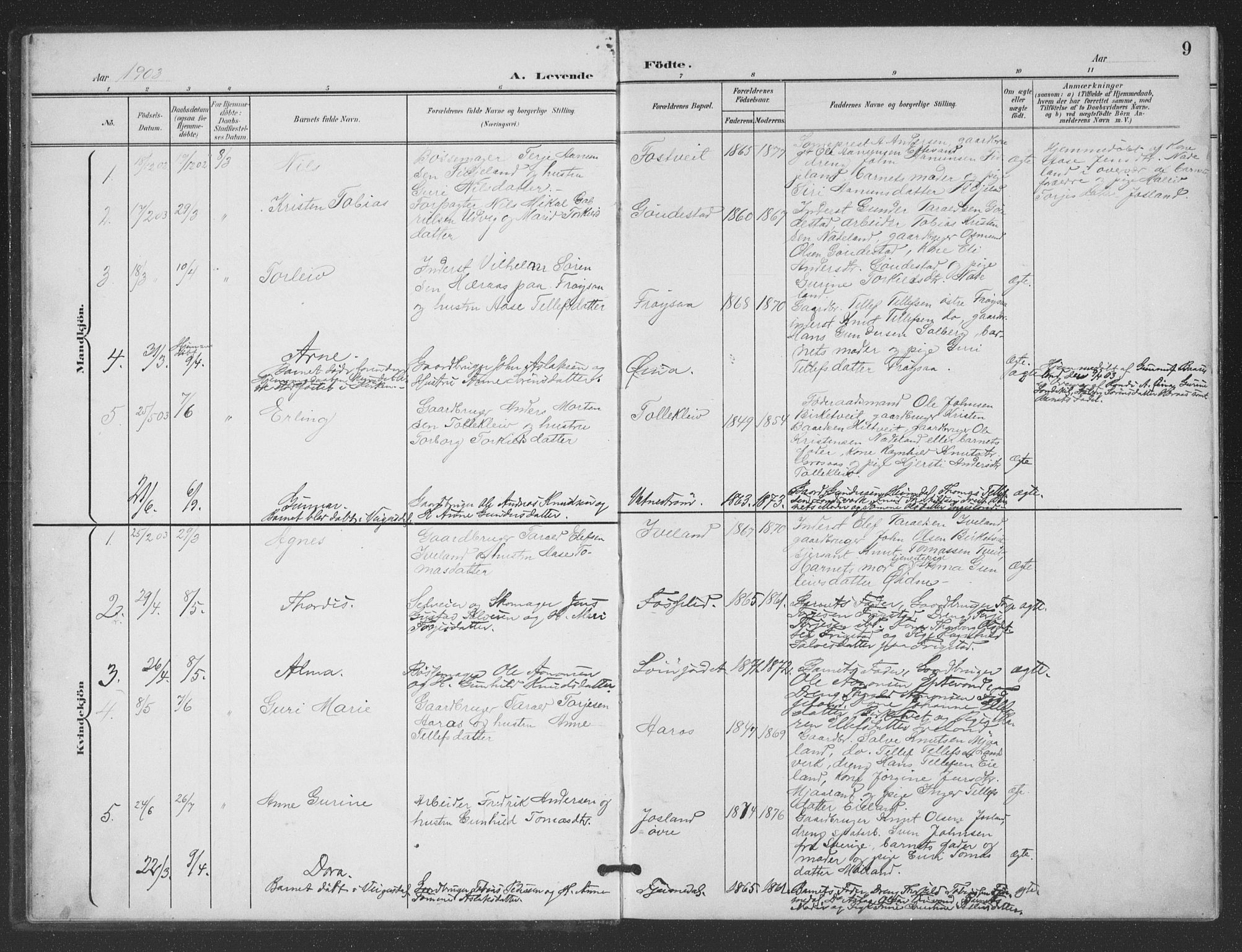 Evje sokneprestkontor, SAK/1111-0008/F/Fb/Fbc/L0005: Parish register (copy) no. B 5, 1901-1935, p. 9