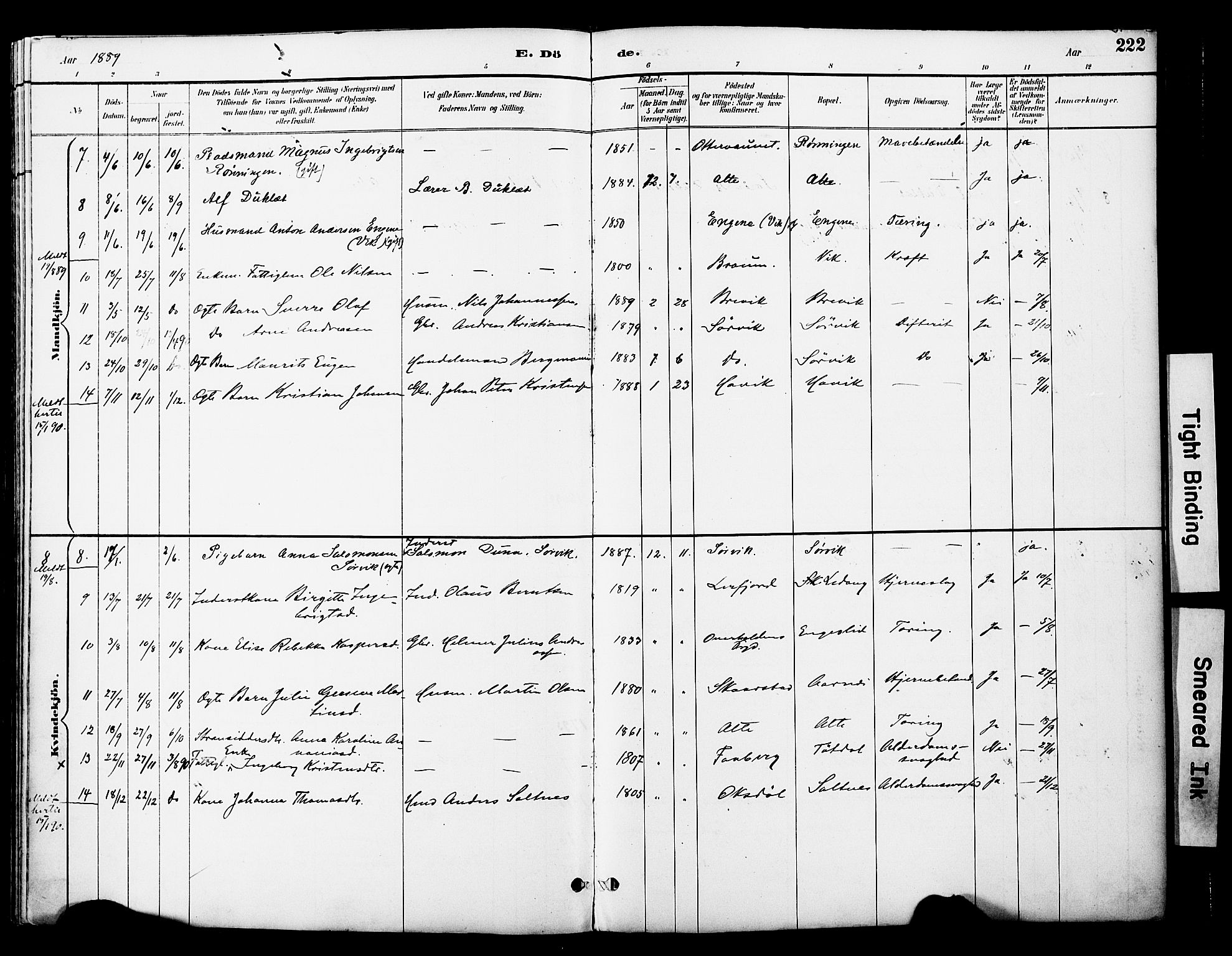 Ministerialprotokoller, klokkerbøker og fødselsregistre - Nord-Trøndelag, SAT/A-1458/774/L0628: Parish register (official) no. 774A02, 1887-1903, p. 222