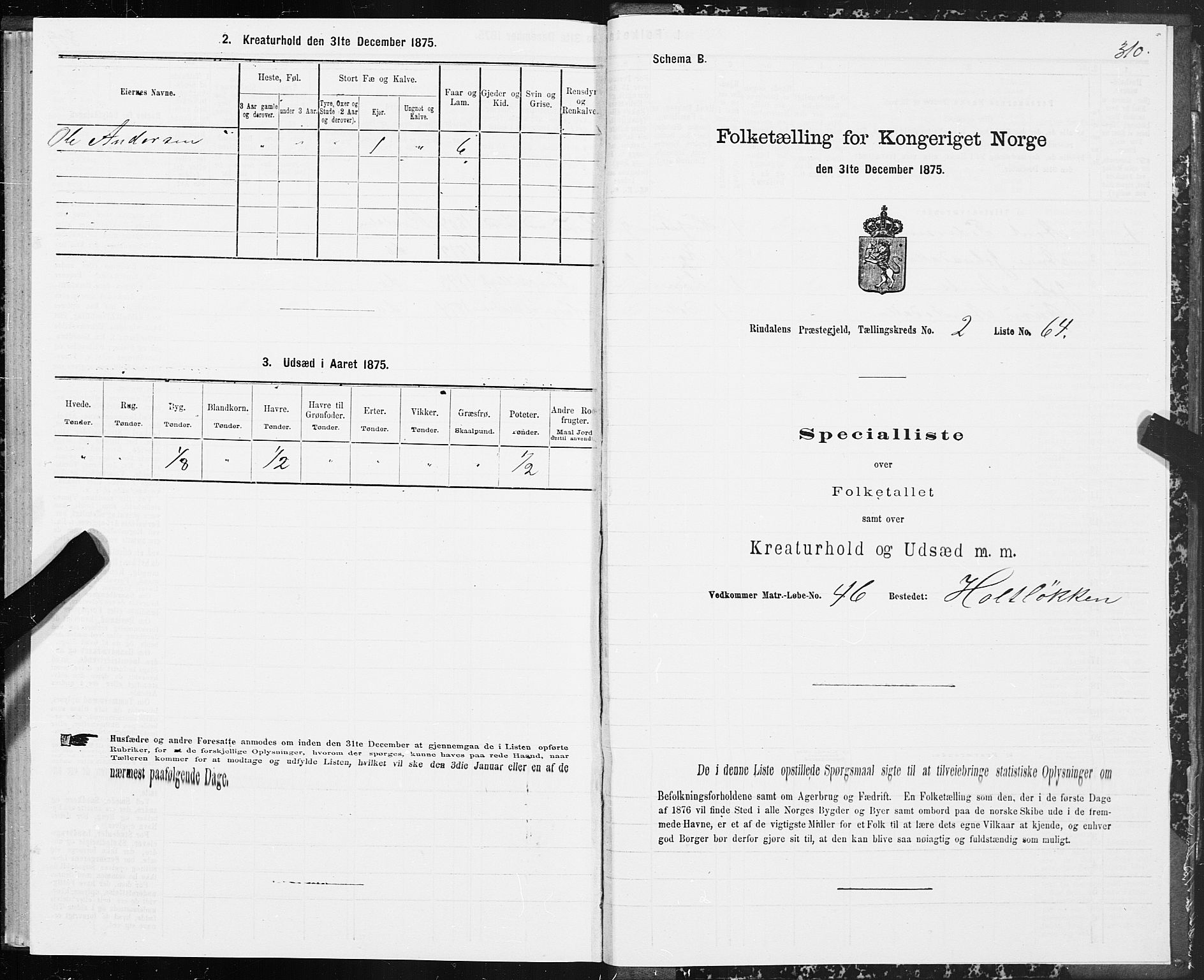 SAT, 1875 census for 1567P Rindal, 1875, p. 1310