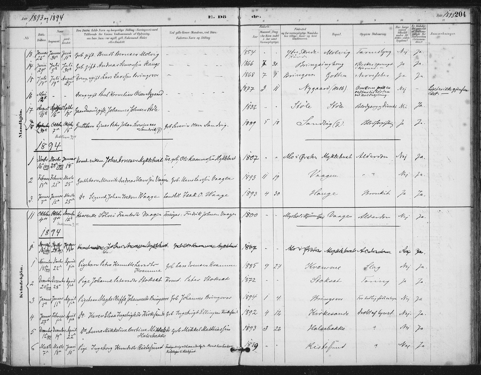 Ministerialprotokoller, klokkerbøker og fødselsregistre - Møre og Romsdal, SAT/A-1454/503/L0037: Parish register (official) no. 503A05, 1884-1900, p. 204