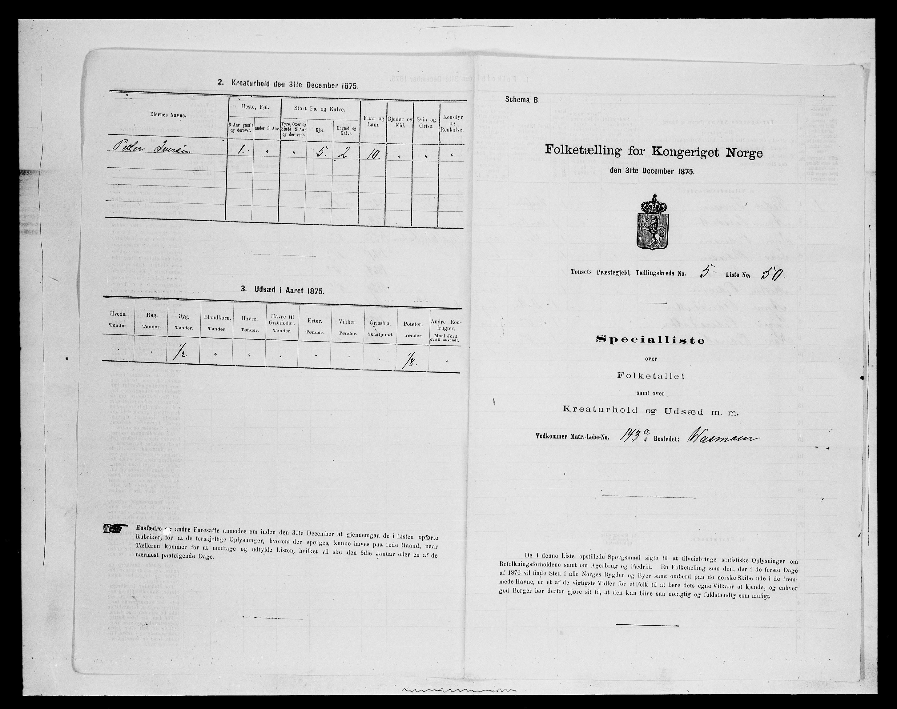 SAH, 1875 census for 0437P Tynset, 1875, p. 663