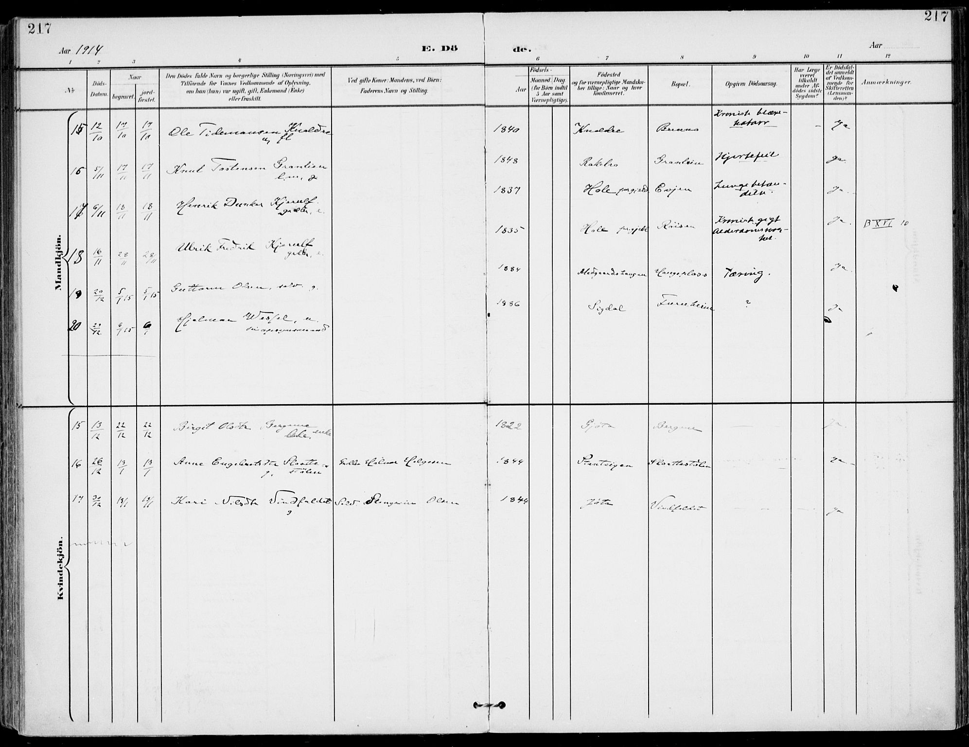 Gol kirkebøker, SAKO/A-226/F/Fa/L0006: Parish register (official) no. I 6, 1901-1918, p. 217