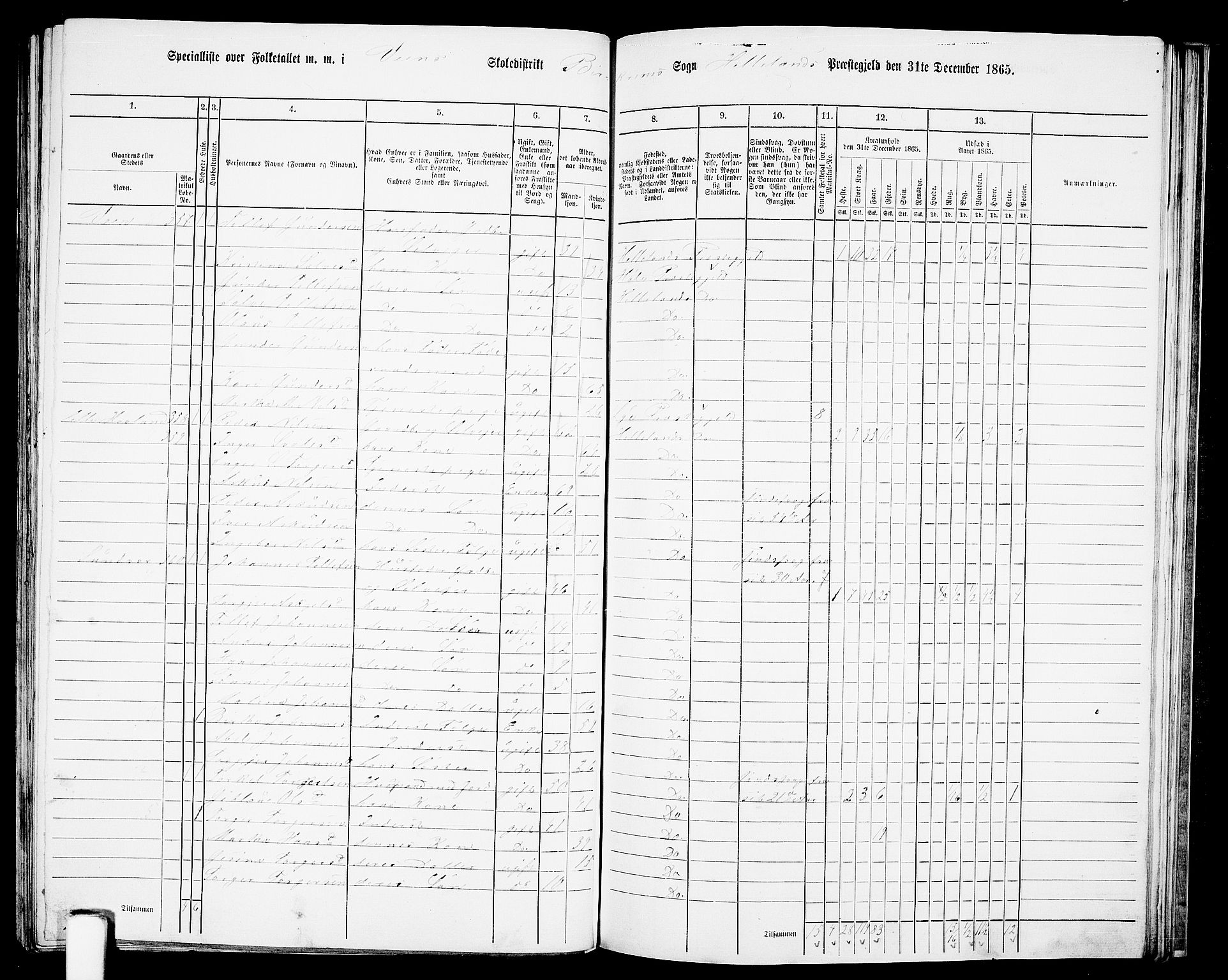RA, 1865 census for Helleland, 1865, p. 113