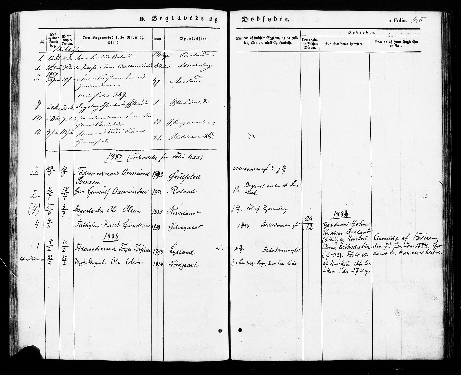 Åseral sokneprestkontor, SAK/1111-0051/F/Fa/L0002: Parish register (official) no. A 2, 1854-1884, p. 425