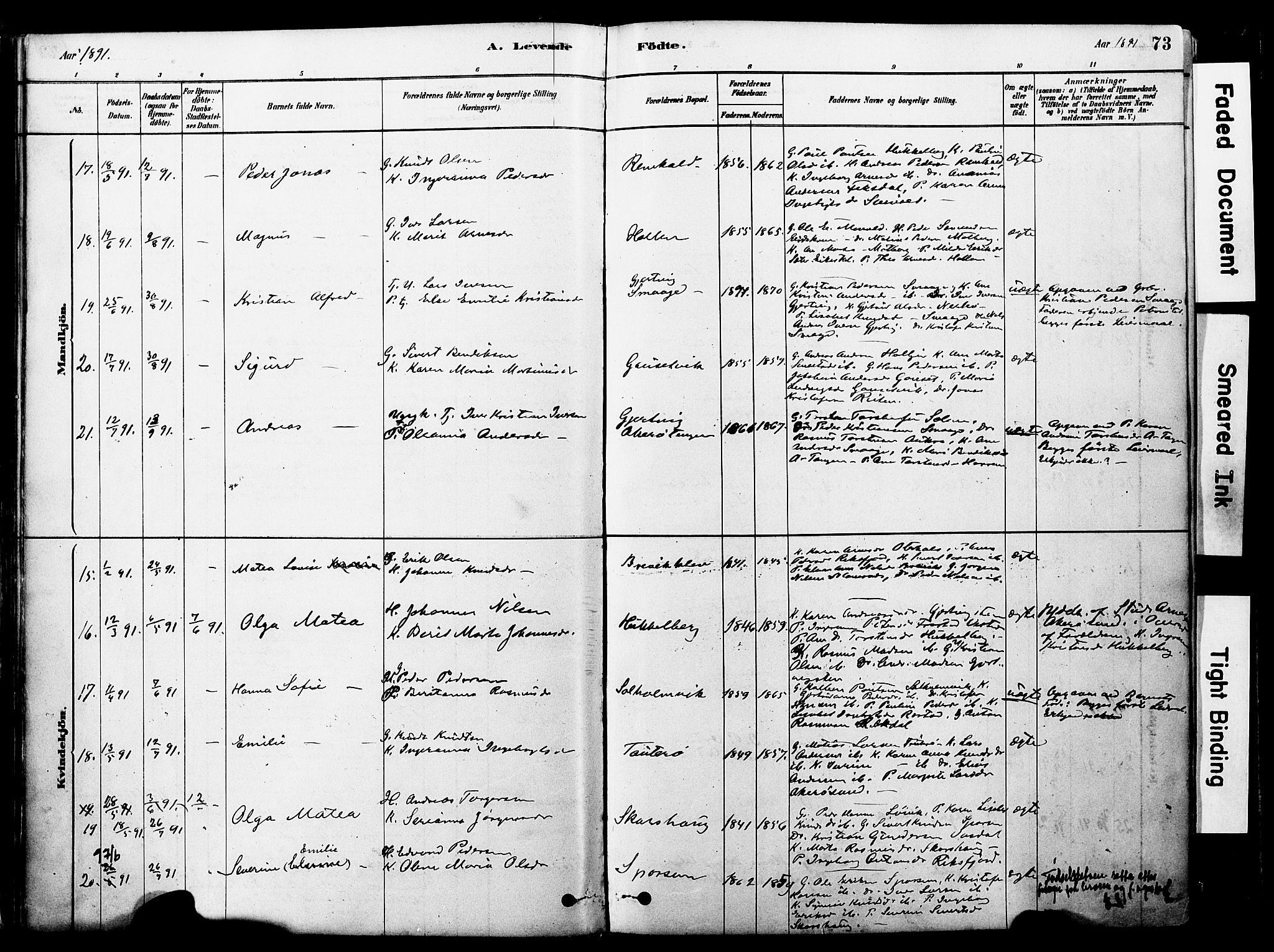 Ministerialprotokoller, klokkerbøker og fødselsregistre - Møre og Romsdal, AV/SAT-A-1454/560/L0721: Parish register (official) no. 560A05, 1878-1917, p. 73