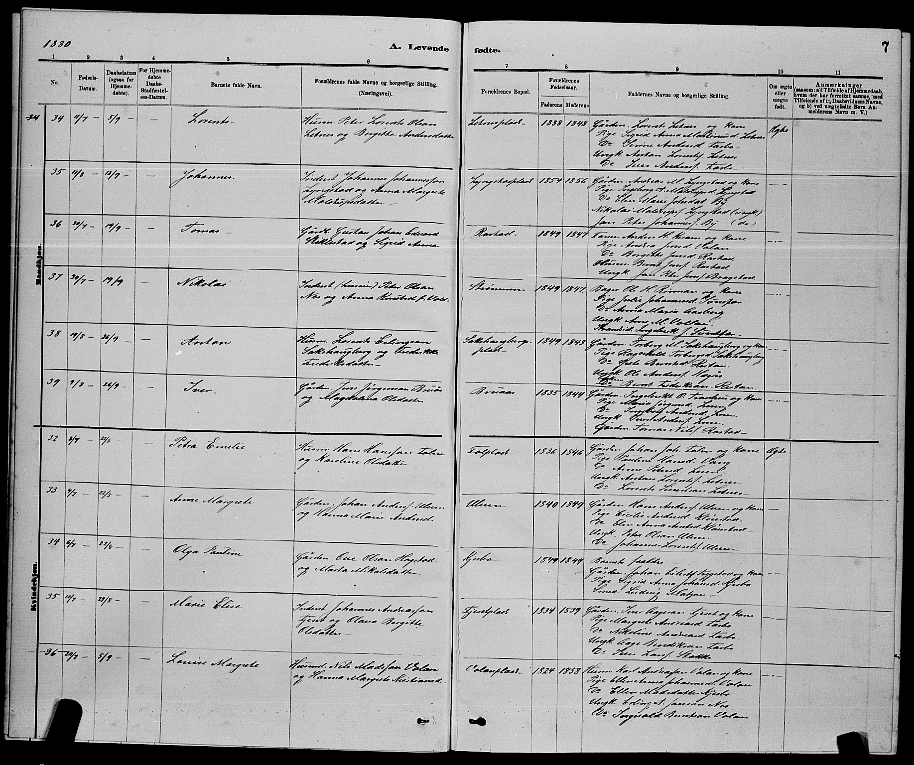 Ministerialprotokoller, klokkerbøker og fødselsregistre - Nord-Trøndelag, AV/SAT-A-1458/730/L0301: Parish register (copy) no. 730C04, 1880-1897, p. 7