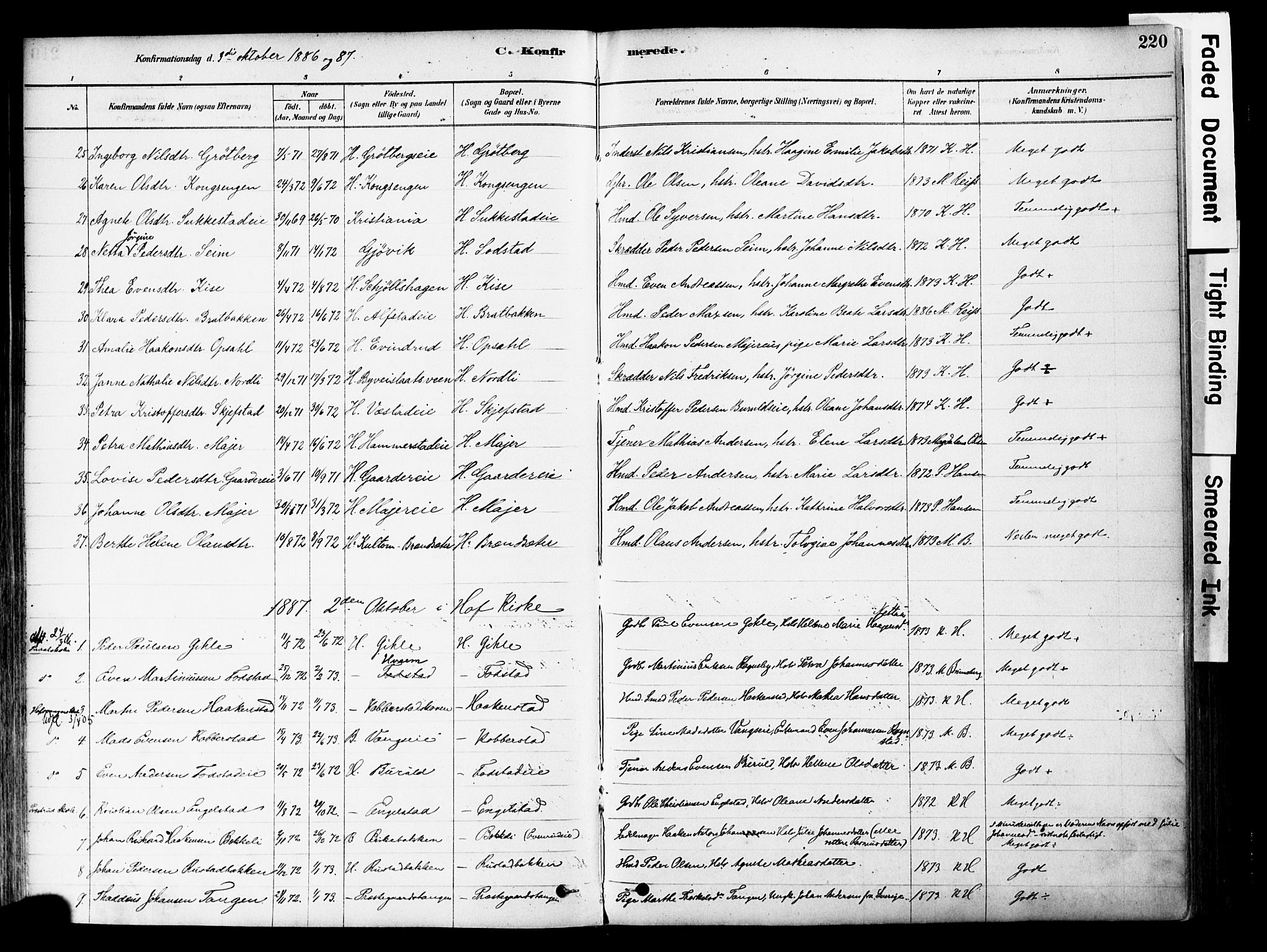 Østre Toten prestekontor, SAH/PREST-104/H/Ha/Haa/L0006: Parish register (official) no. 6 /1, 1878-1896, p. 220