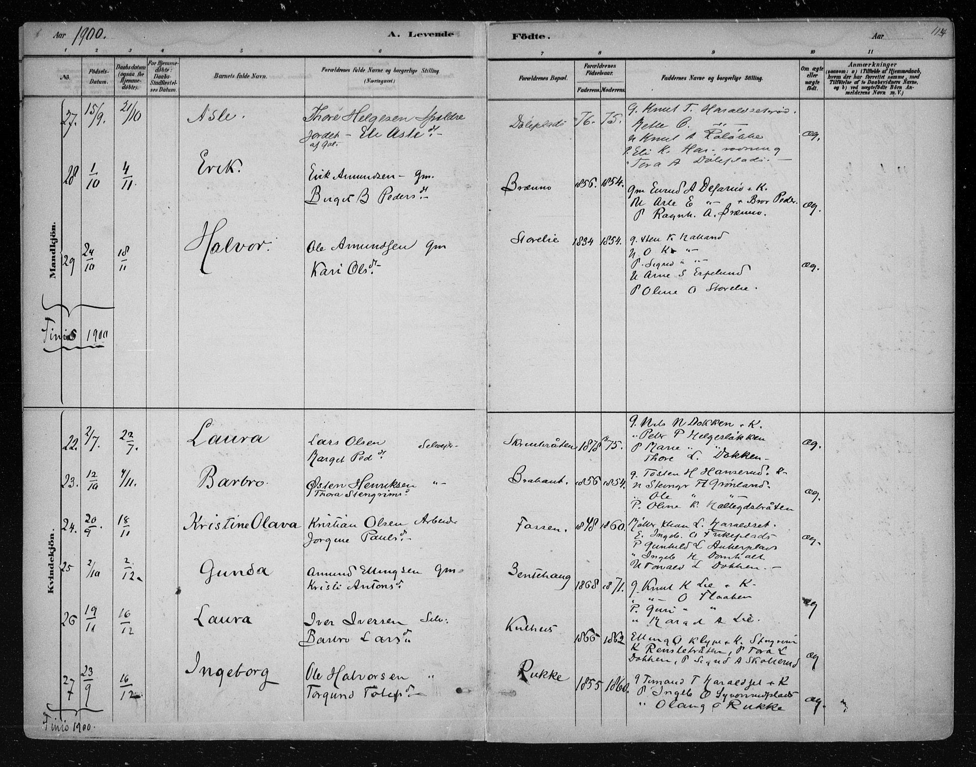 Nes kirkebøker, AV/SAKO-A-236/F/Fa/L0011: Parish register (official) no. 11, 1881-1912, p. 114