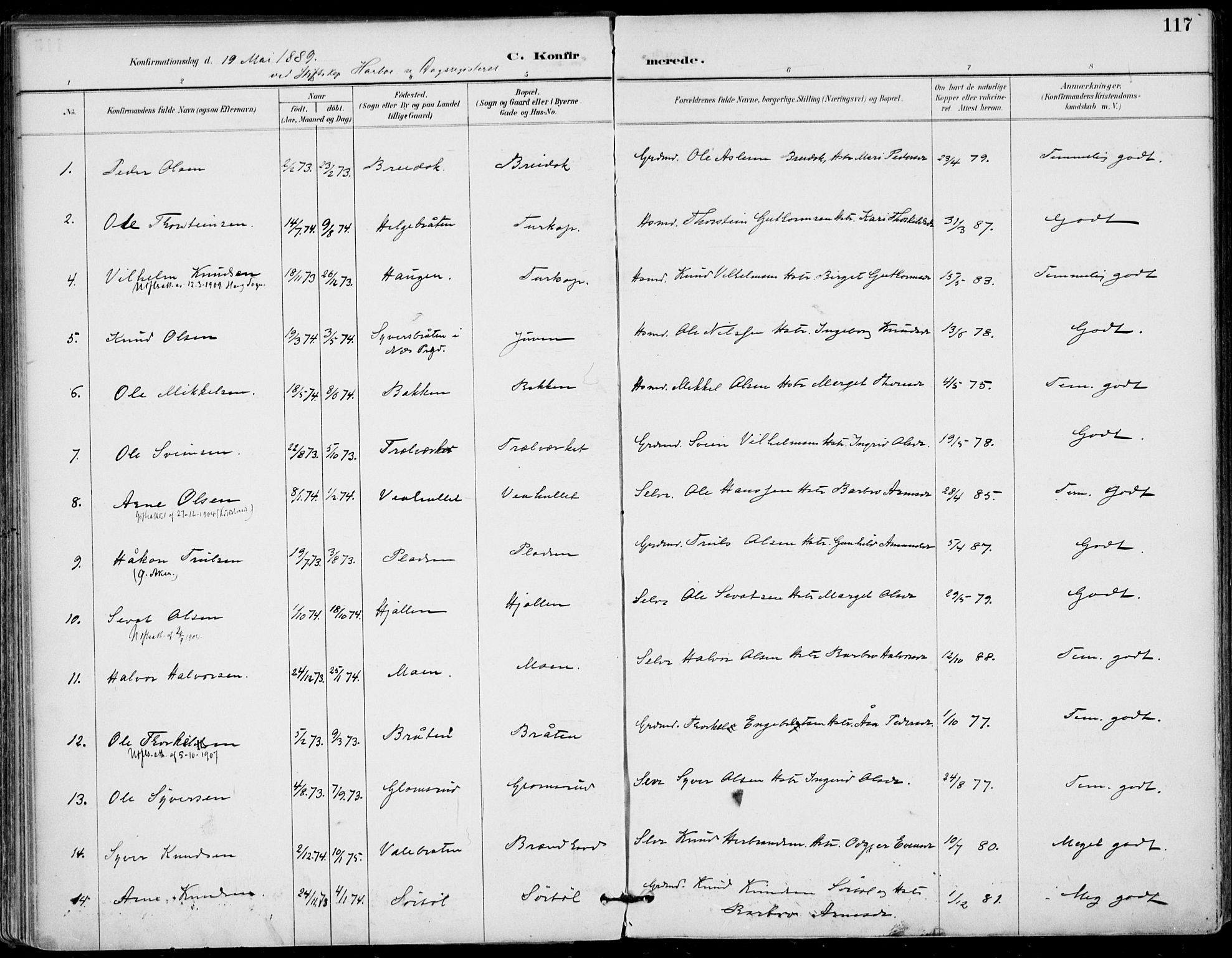 Gol kirkebøker, SAKO/A-226/F/Fa/L0005: Parish register (official) no. I 5, 1887-1900, p. 117