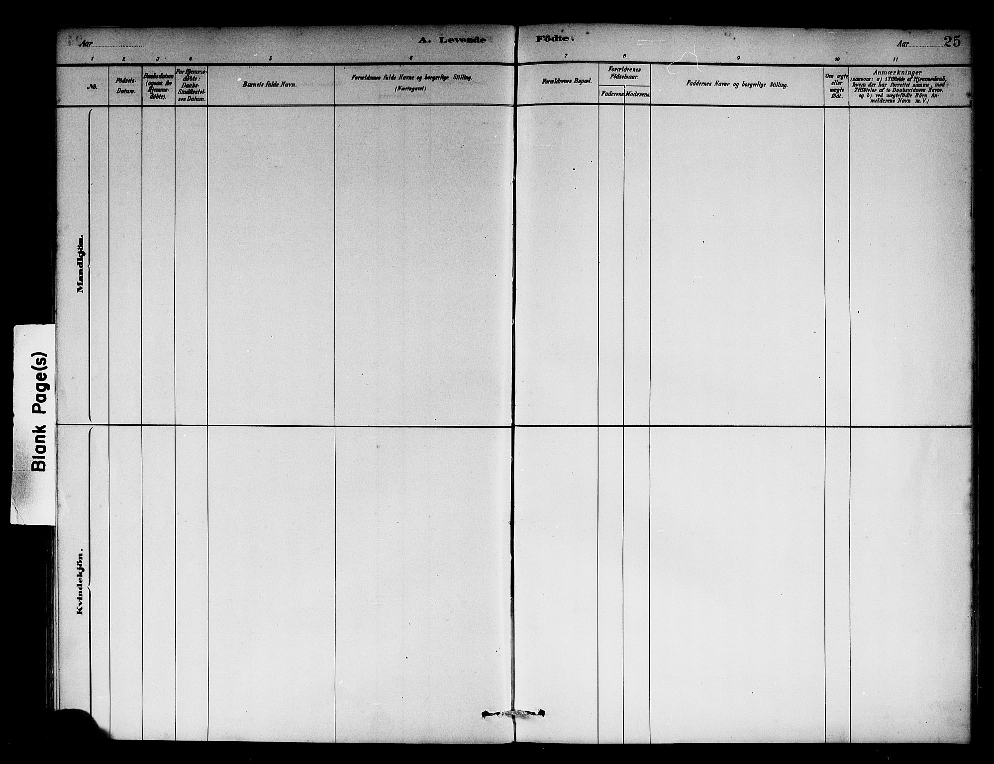 Solund sokneprestembete, SAB/A-81401: Parish register (official) no. C 1, 1881-1896, p. 25