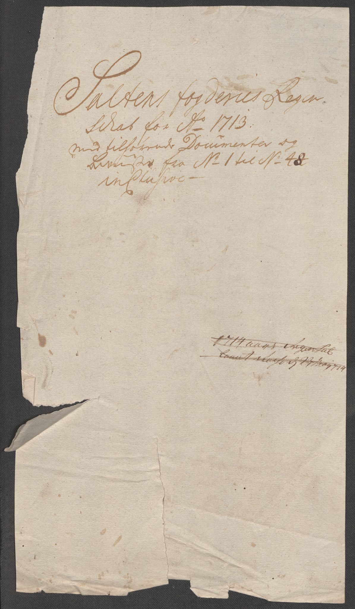 Rentekammeret inntil 1814, Reviderte regnskaper, Fogderegnskap, AV/RA-EA-4092/R66/L4583: Fogderegnskap Salten, 1713, p. 3