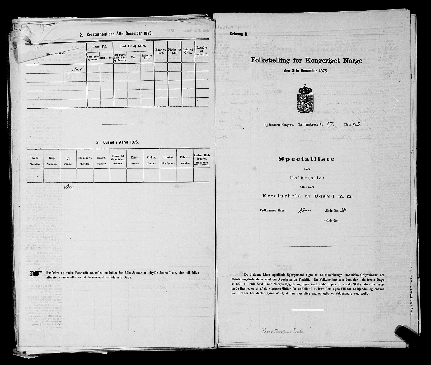 SAKO, 1875 census for 0801P Kragerø, 1875, p. 590