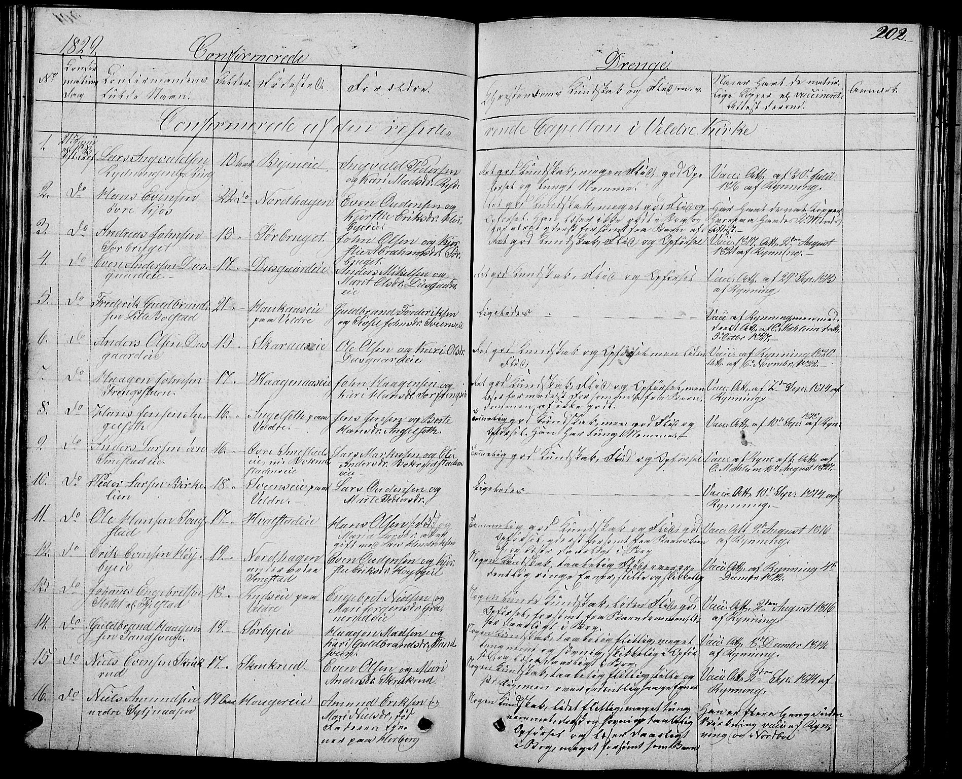 Ringsaker prestekontor, AV/SAH-PREST-014/L/La/L0004: Parish register (copy) no. 4, 1827-1838, p. 202