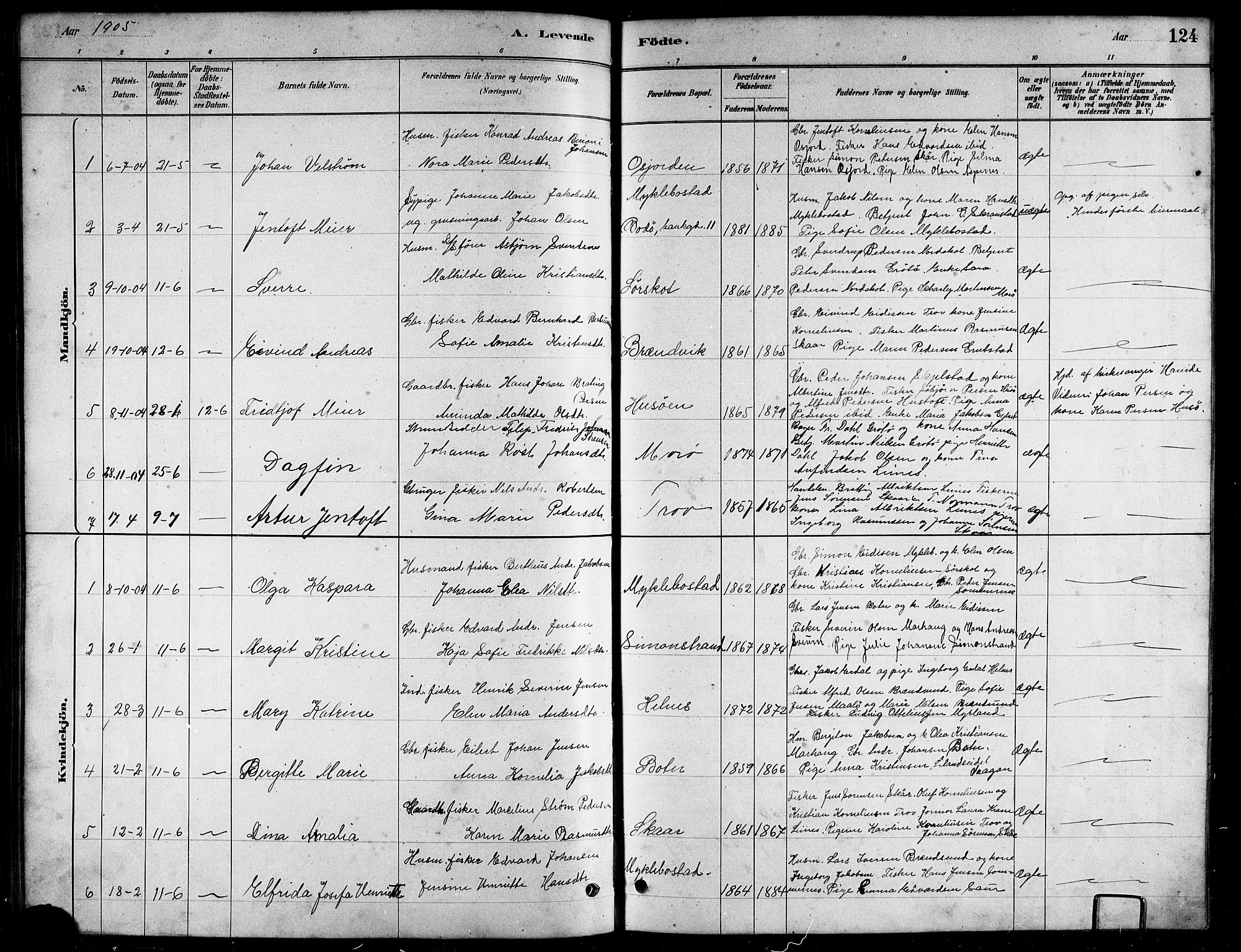 Ministerialprotokoller, klokkerbøker og fødselsregistre - Nordland, AV/SAT-A-1459/857/L0828: Parish register (copy) no. 857C03, 1879-1908, p. 124