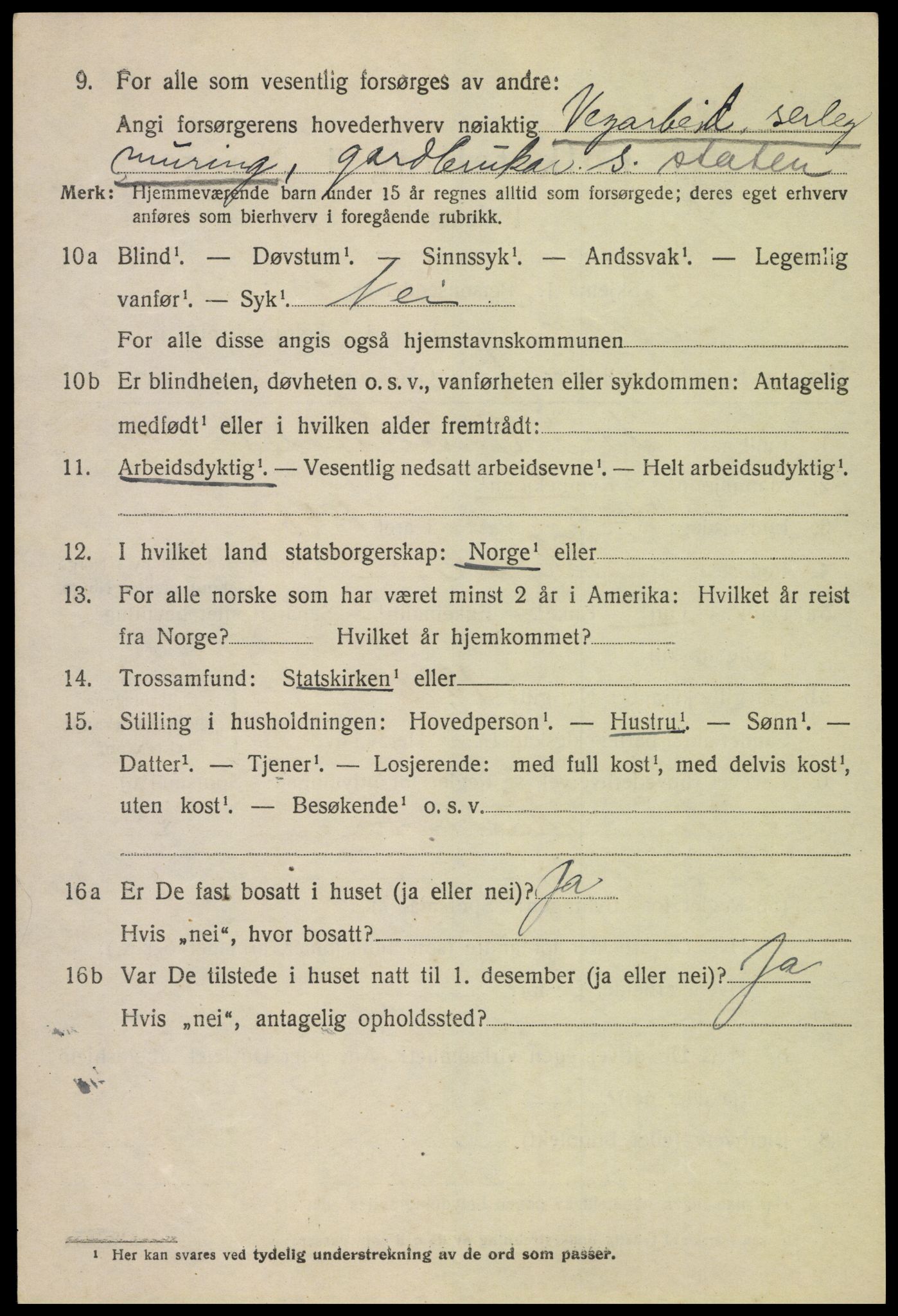 SAH, 1920 census for Skjåk, 1920, p. 4269