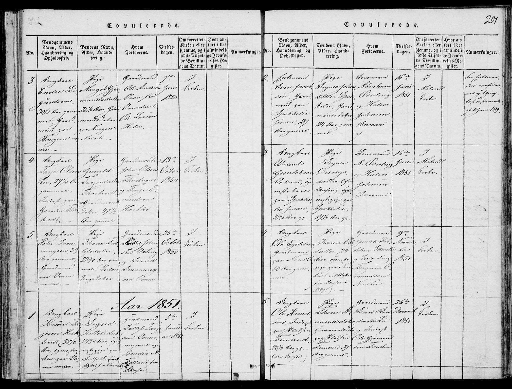 Fyresdal kirkebøker, SAKO/A-263/F/Fb/L0001: Parish register (official) no. II 1, 1815-1854, p. 201