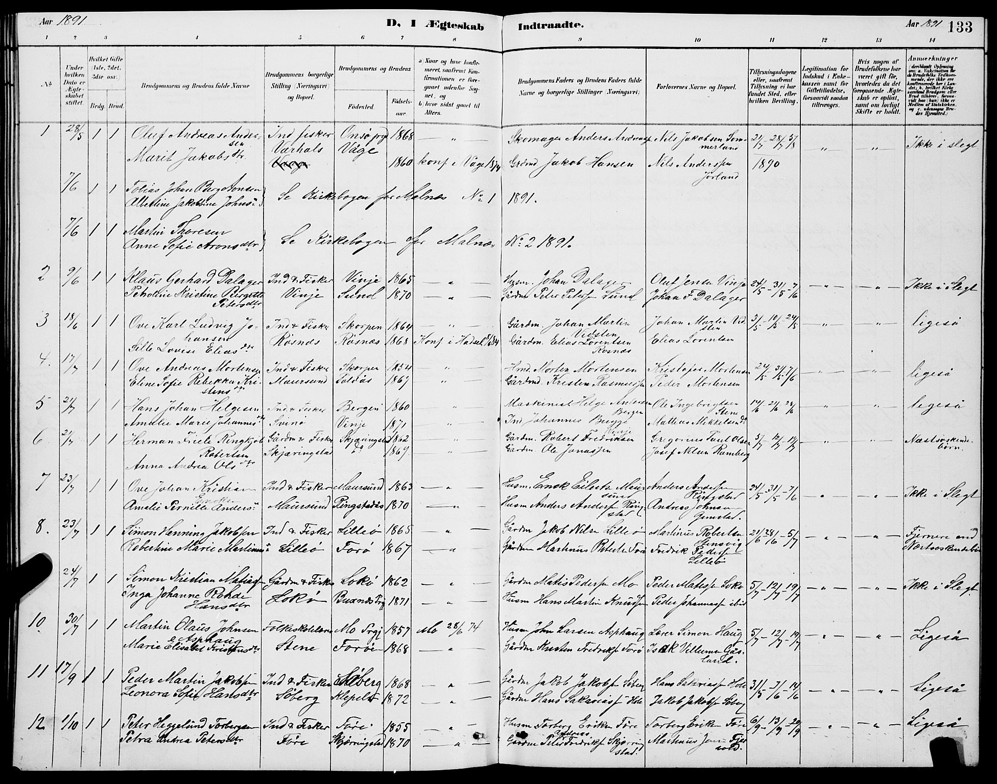 Ministerialprotokoller, klokkerbøker og fødselsregistre - Nordland, AV/SAT-A-1459/891/L1315: Parish register (copy) no. 891C04, 1886-1893, p. 133