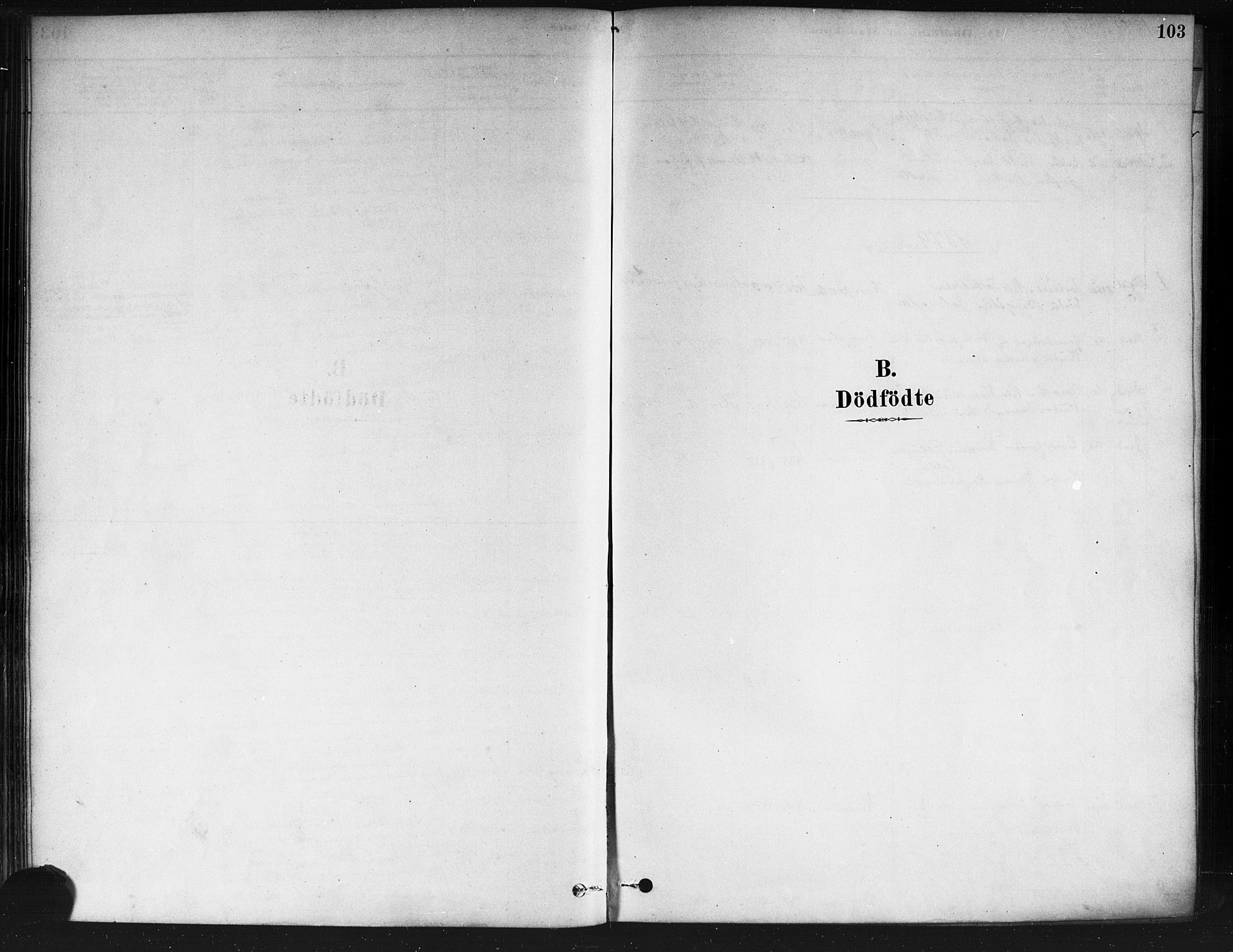 Nedre Eiker kirkebøker, SAKO/A-612/F/Fa/L0002: Parish register (official) no. 2, 1878-1885, p. 103